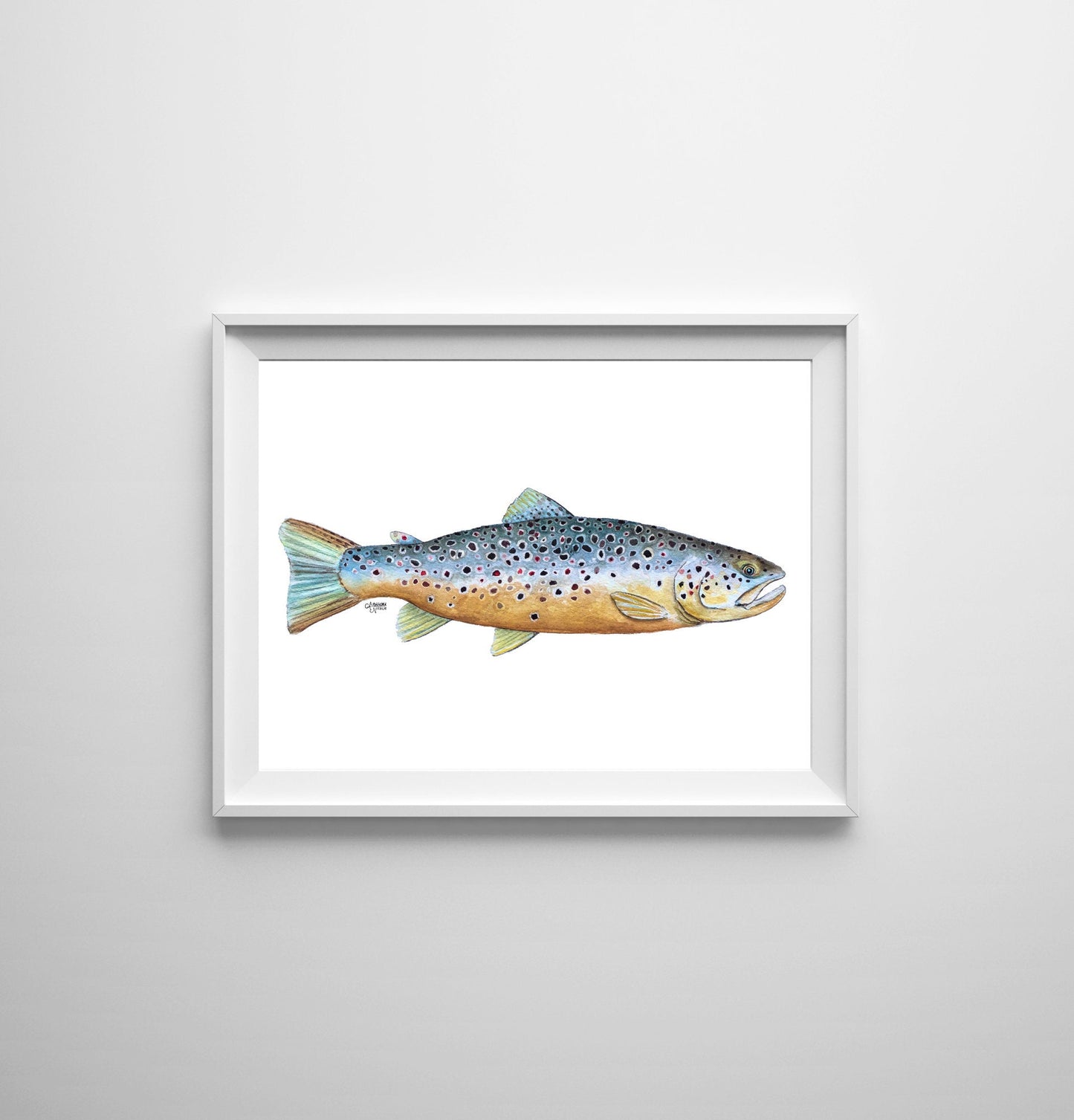 Brown Trout Watercolor Art Print - ArtByAlexandraNicole