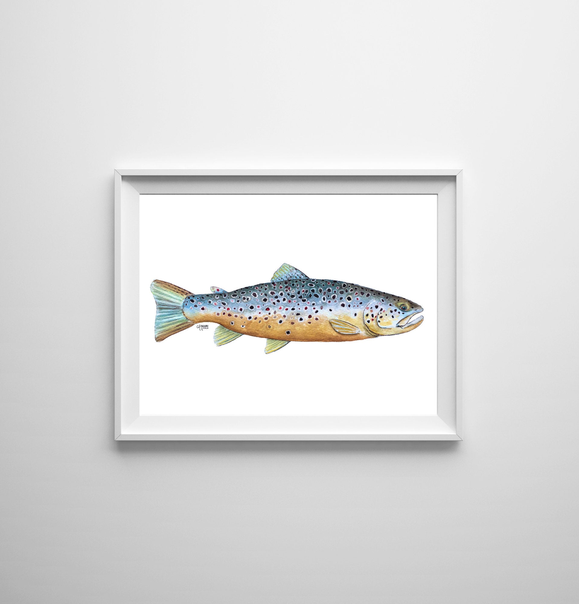 Brown Trout Watercolor Art Print - ArtByAlexandraNicole