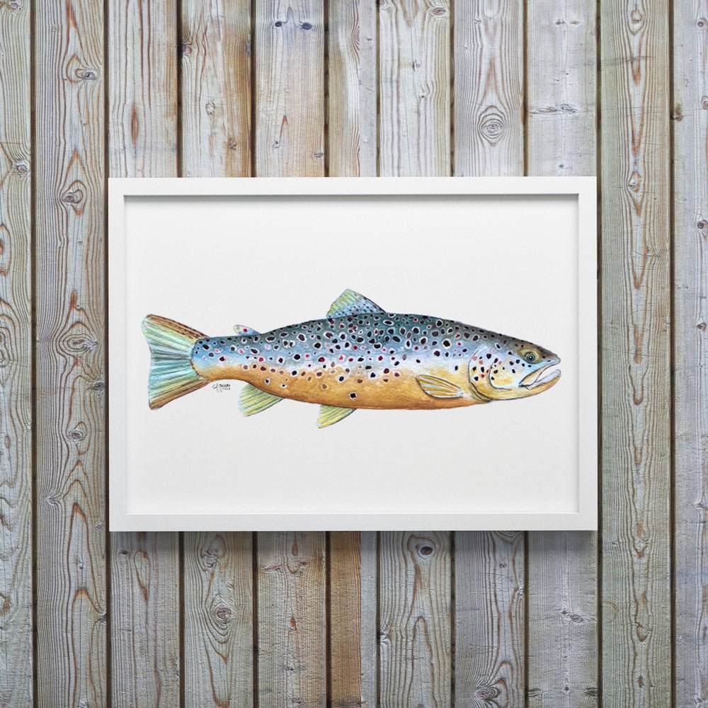 Brown Trout Watercolor Art Print - ArtByAlexandraNicole