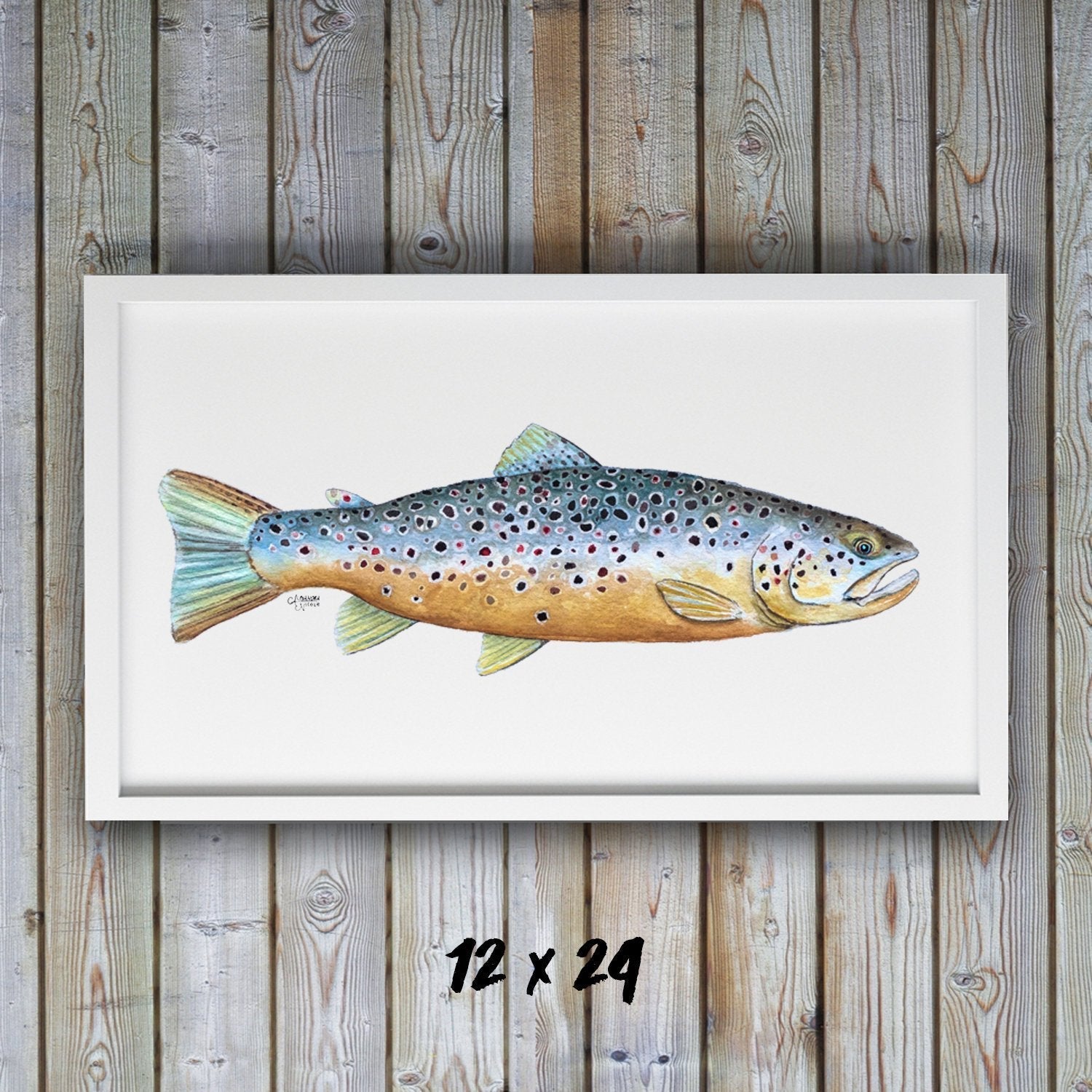 Brown Trout Watercolor Art Print - ArtByAlexandraNicole