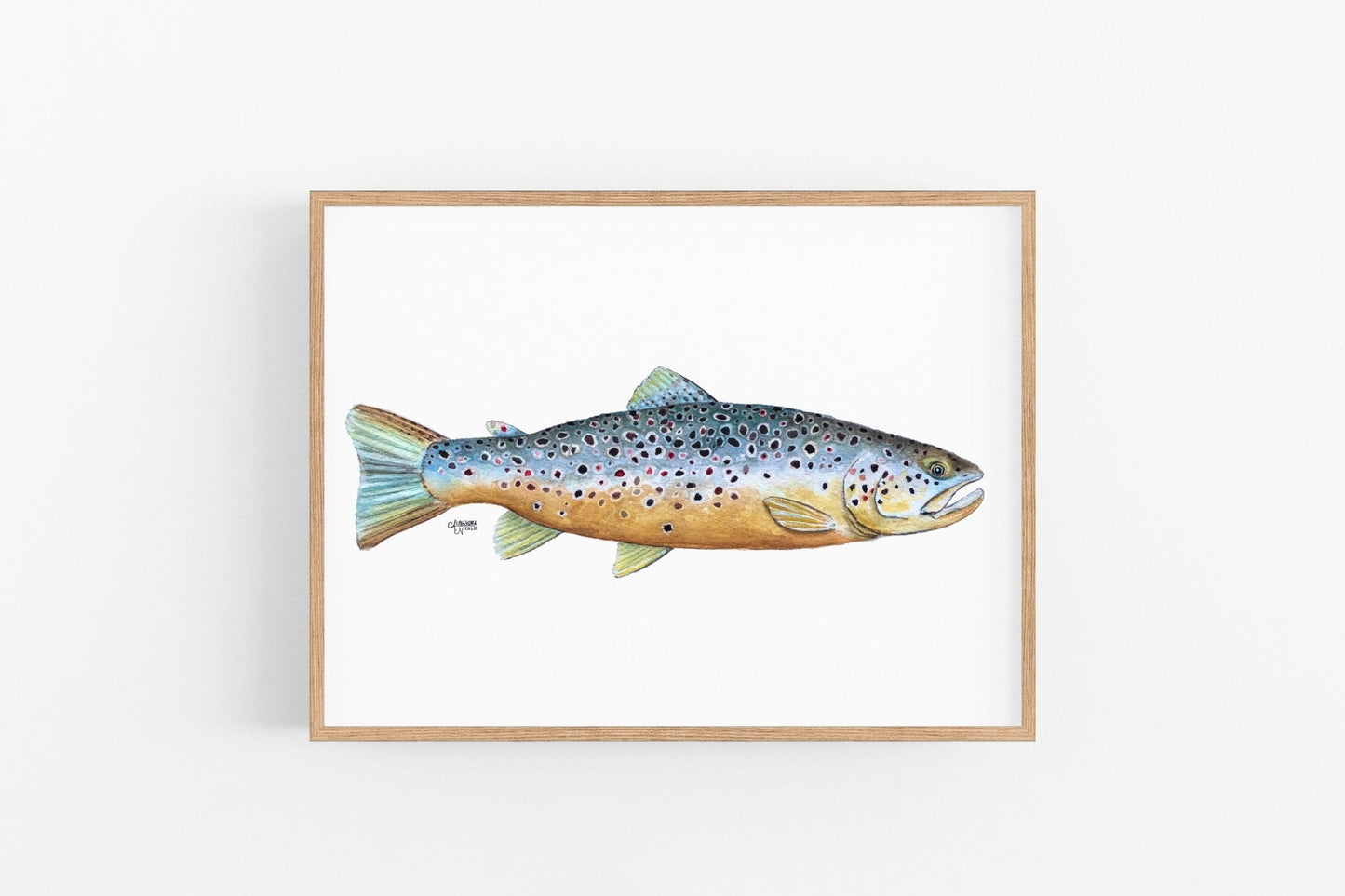 Brown Trout Watercolor Art Print - ArtByAlexandraNicole