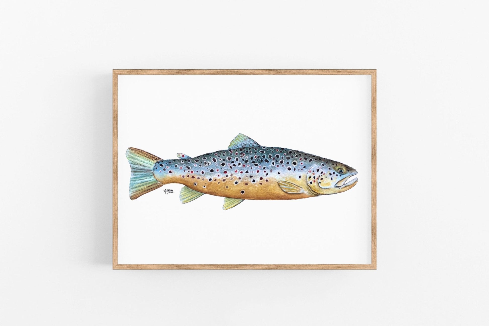 Brown Trout Watercolor Art Print - ArtByAlexandraNicole