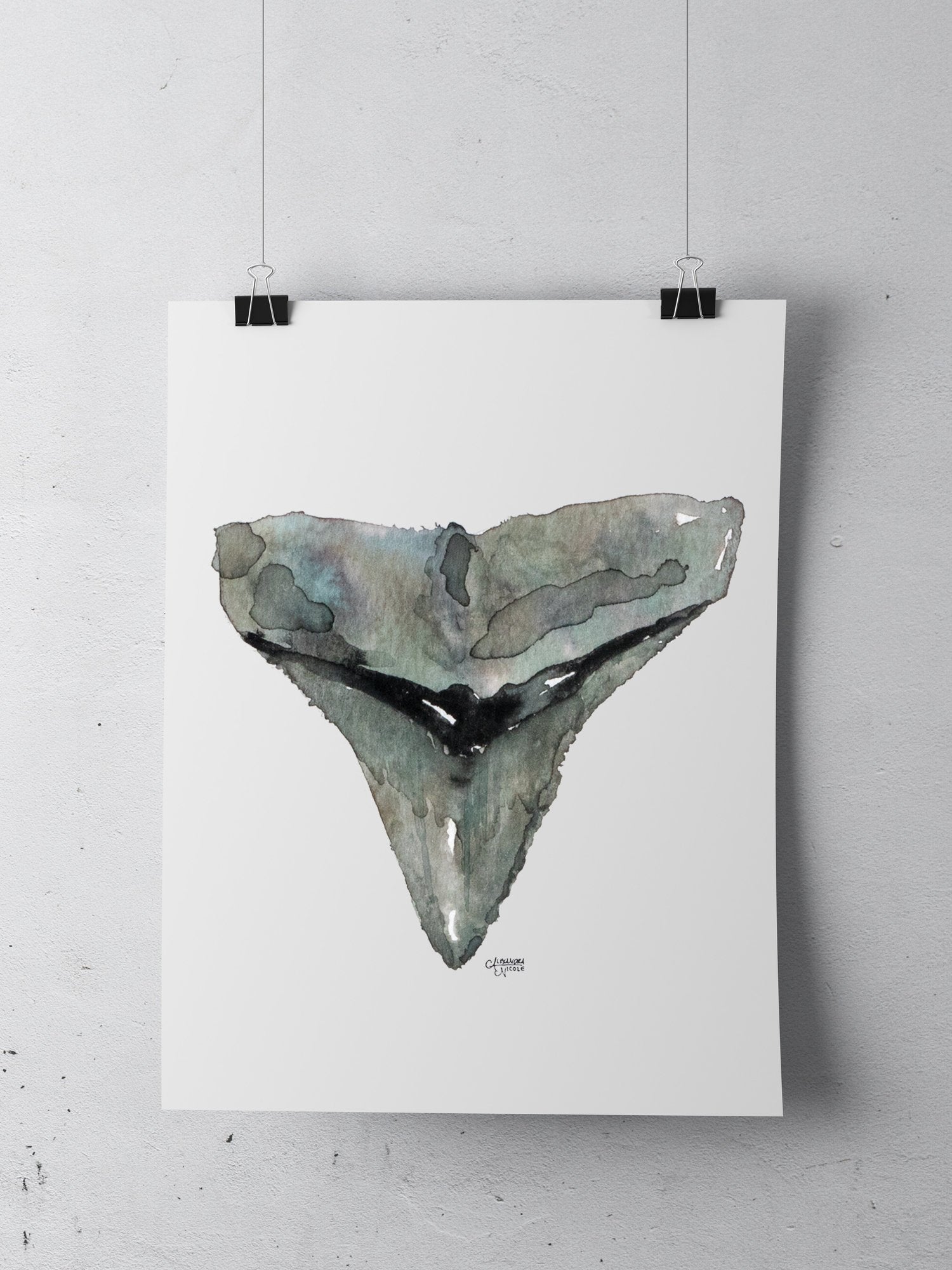 Bull Shark Tooth Watercolor Art Print - Shark Tooth No. 6 - ArtByAlexandraNicole