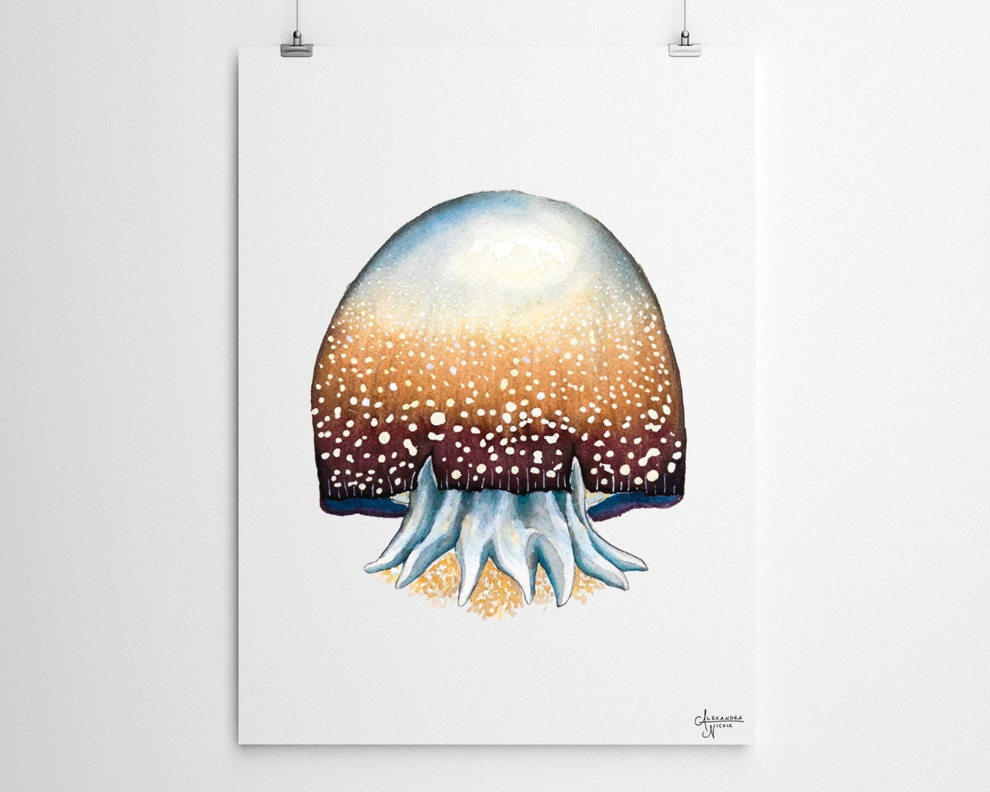 Cannonball Jellyfish Fine Art Print, Watercolor Sea Creatures - ArtByAlexandraNicole