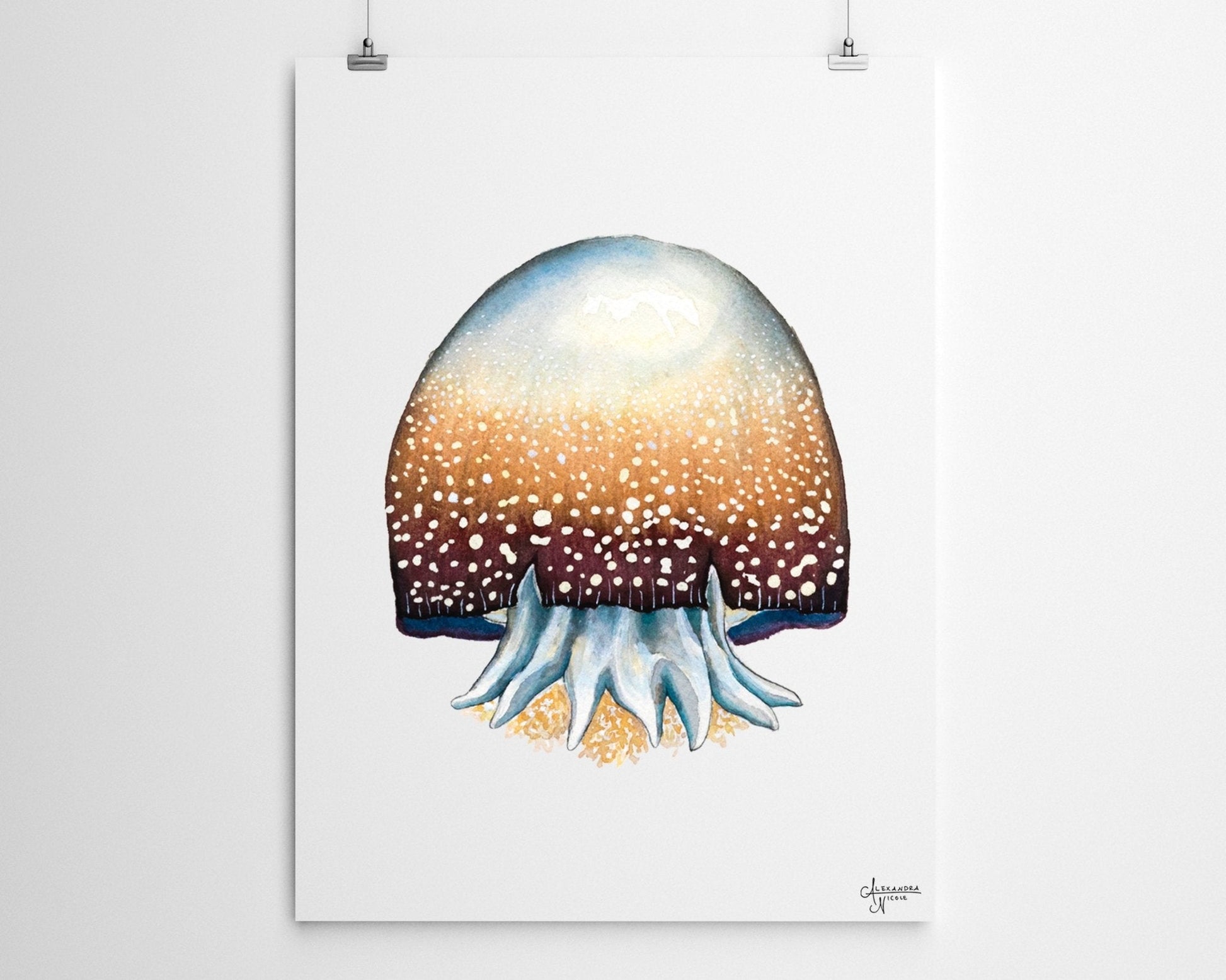 Cannonball Jellyfish Fine Art Print, Watercolor Sea Creatures - ArtByAlexandraNicole