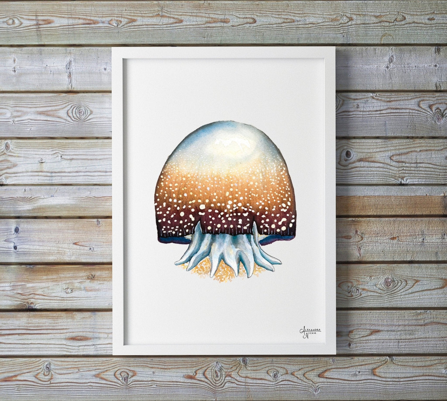 Cannonball Jellyfish Fine Art Print, Watercolor Sea Creatures - ArtByAlexandraNicole