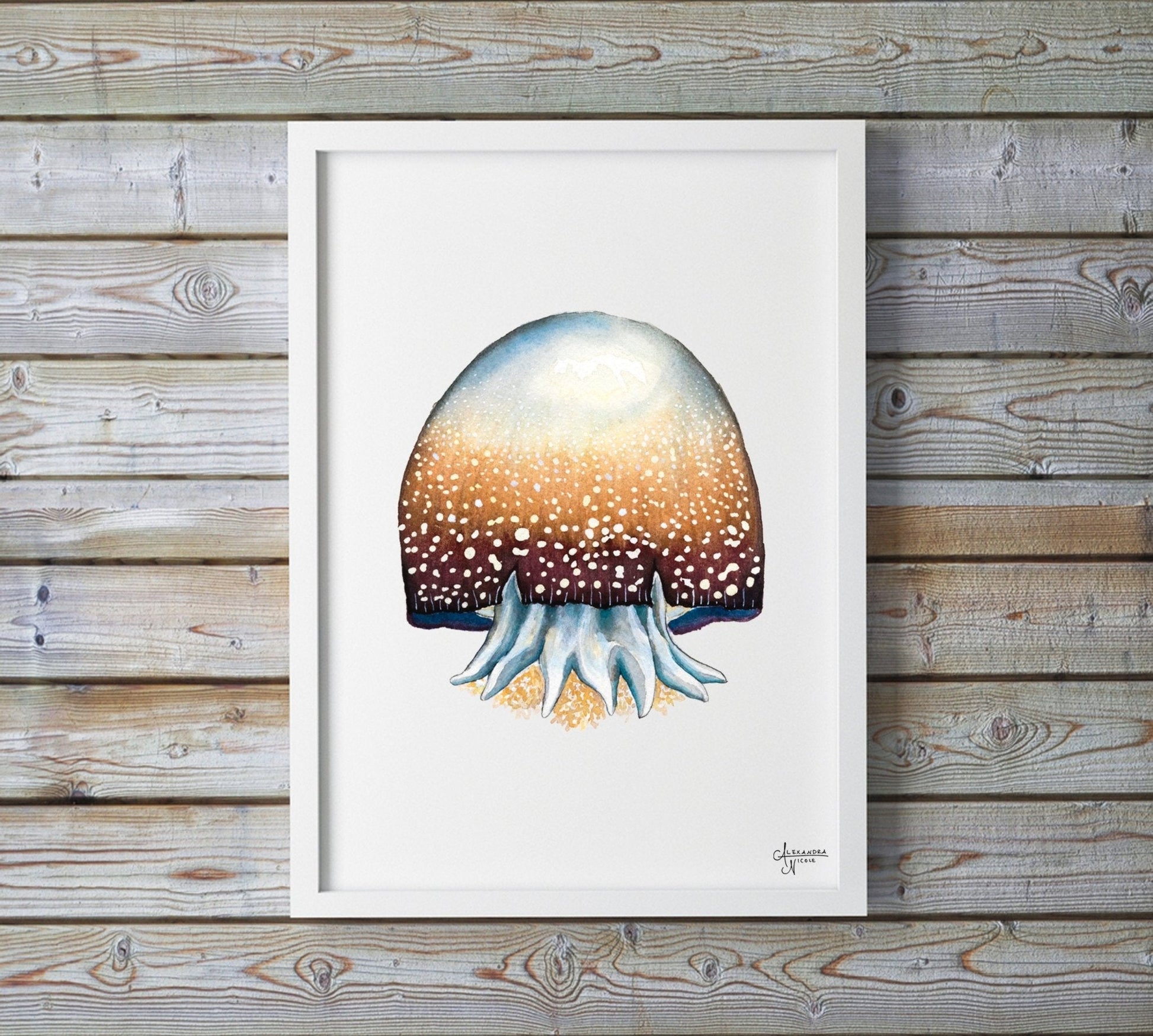 Cannonball Jellyfish Fine Art Print, Watercolor Sea Creatures - ArtByAlexandraNicole