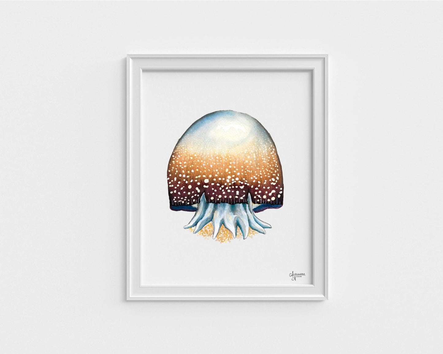 Cannonball Jellyfish Fine Art Print, Watercolor Sea Creatures - ArtByAlexandraNicole