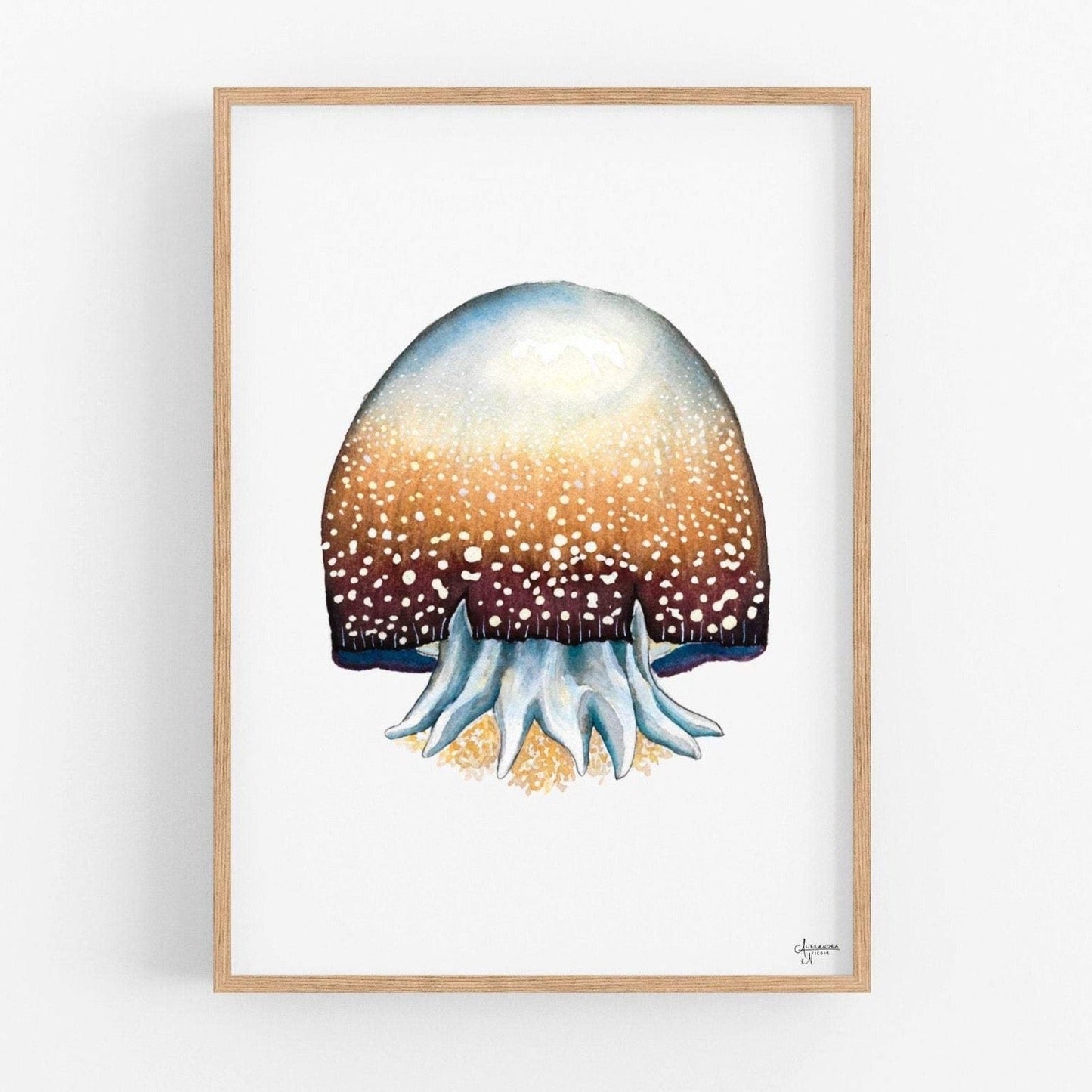 Cannonball Jellyfish Fine Art Print, Watercolor Sea Creatures - ArtByAlexandraNicole