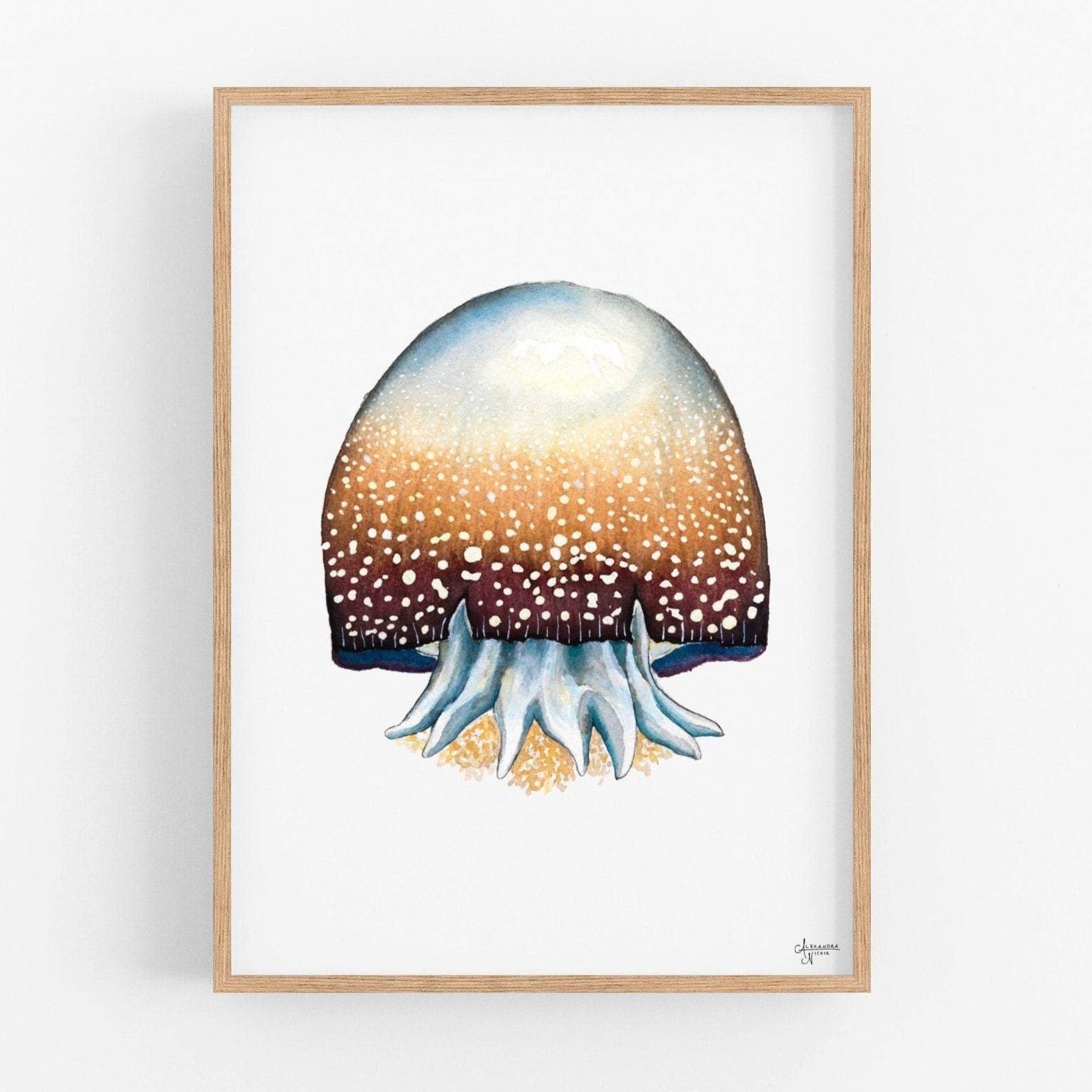 Cannonball Jellyfish Fine Art Print, Watercolor Sea Creatures - ArtByAlexandraNicole
