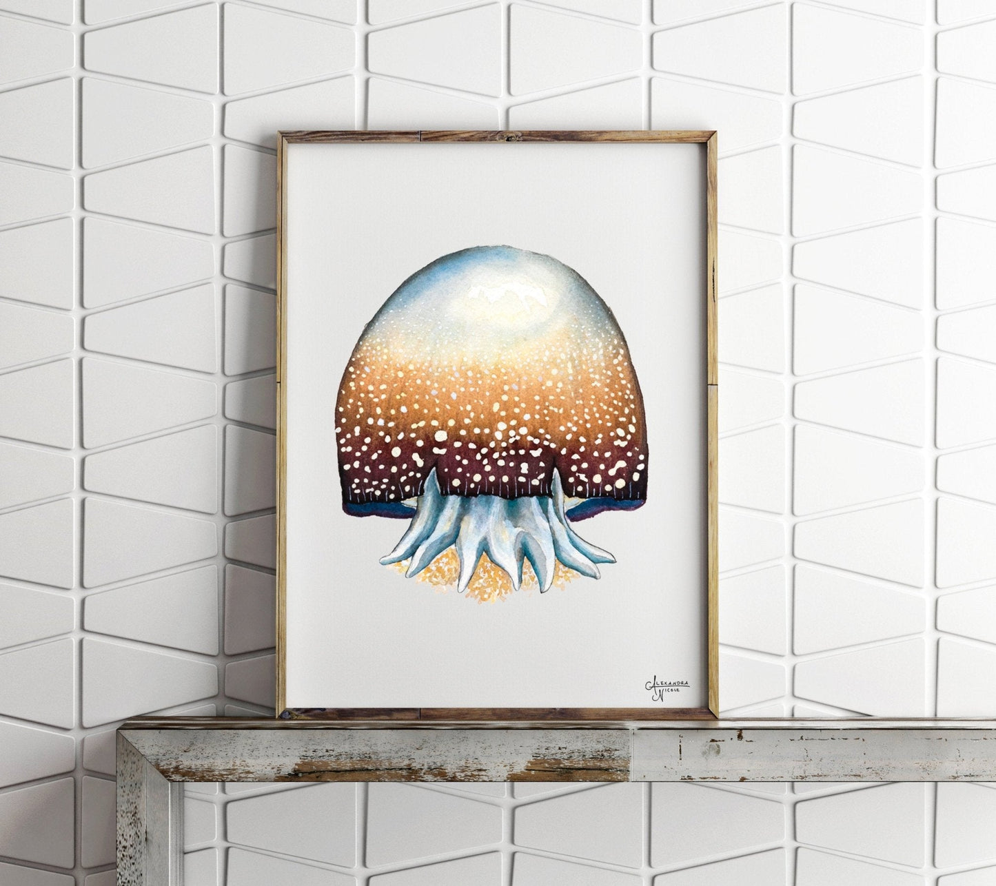 Cannonball Jellyfish Fine Art Print, Watercolor Sea Creatures - ArtByAlexandraNicole