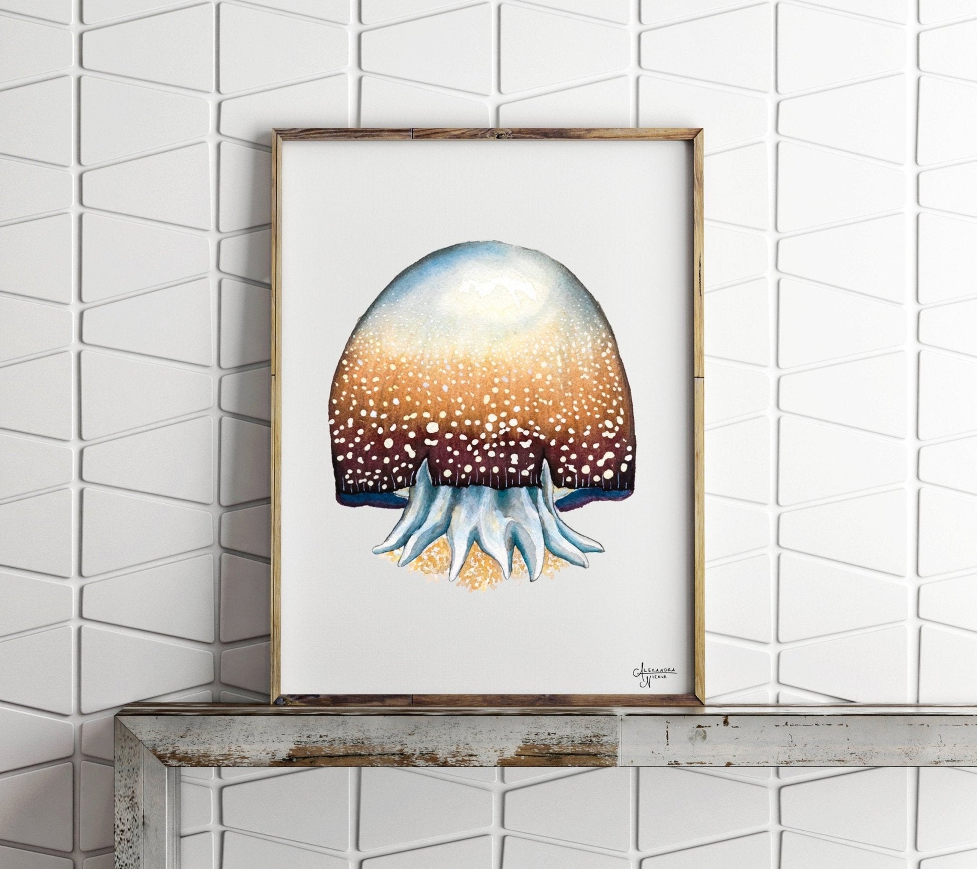 Cannonball Jellyfish Fine Art Print, Watercolor Sea Creatures - ArtByAlexandraNicole