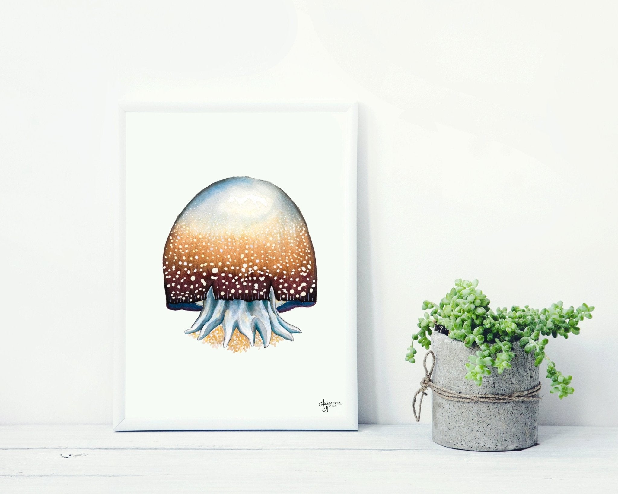 Cannonball Jellyfish Fine Art Print, Watercolor Sea Creatures - ArtByAlexandraNicole