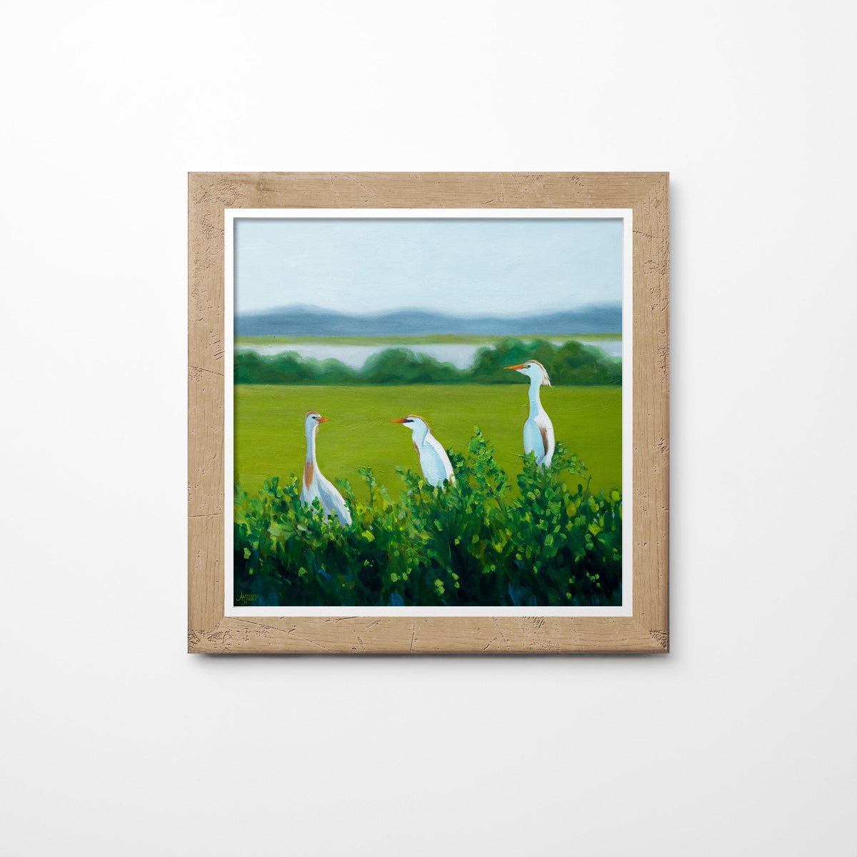 Cattle Egret Art Print - ArtByAlexandraNicole