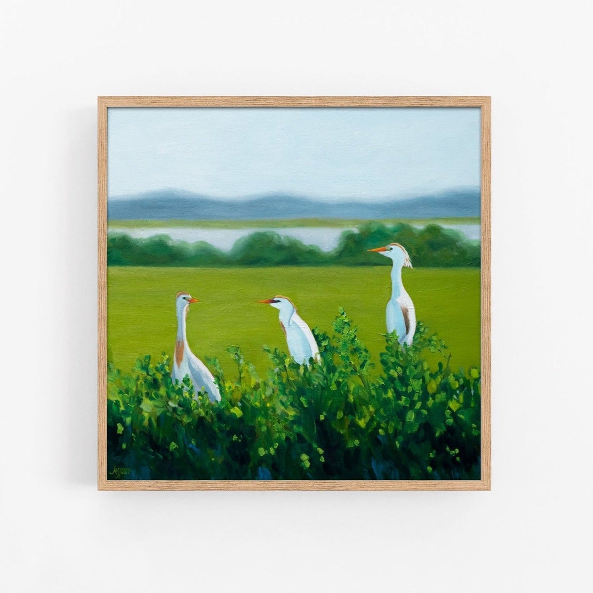 Cattle Egret Art Print - ArtByAlexandraNicole