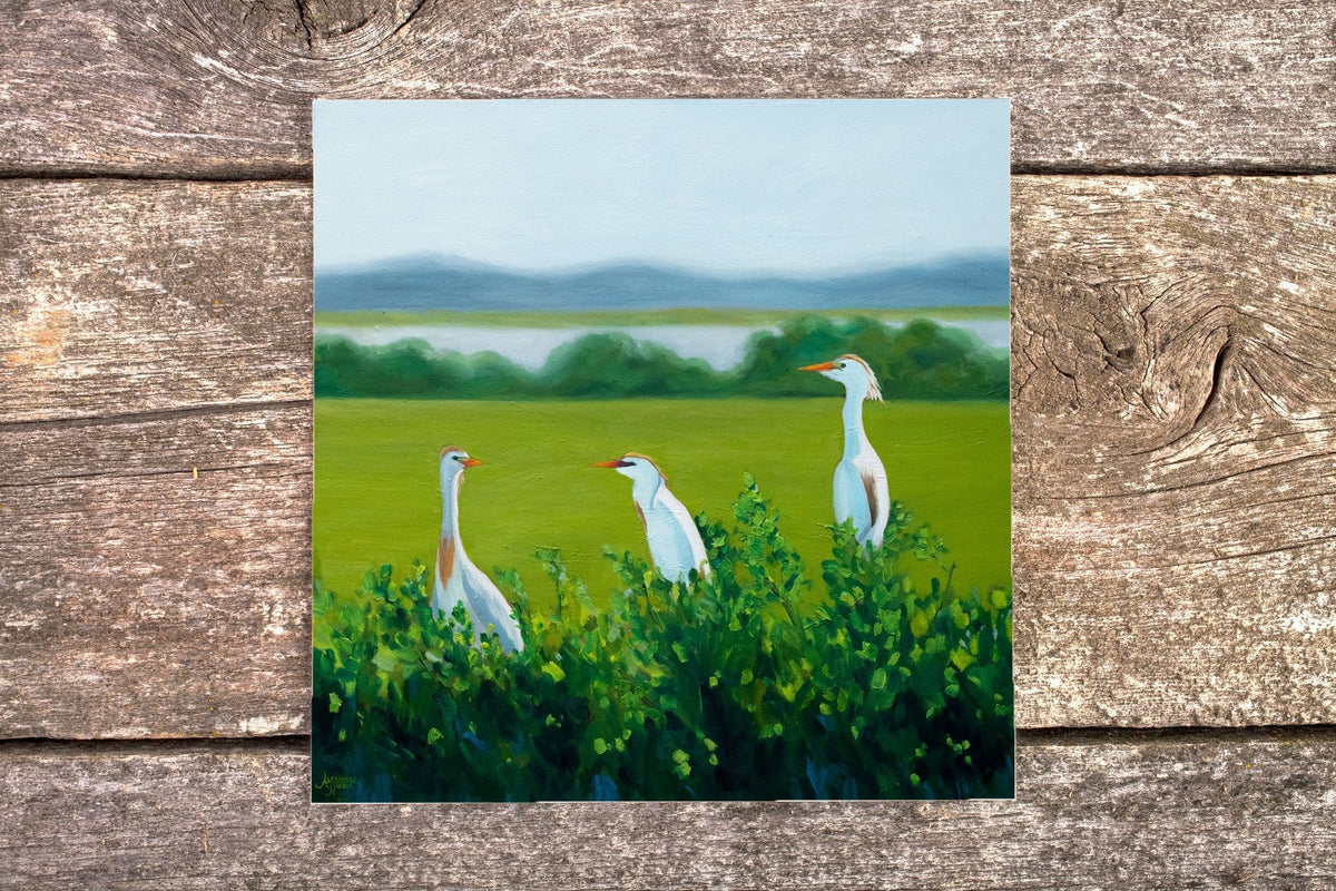 Cattle Egret Art Print - ArtByAlexandraNicole