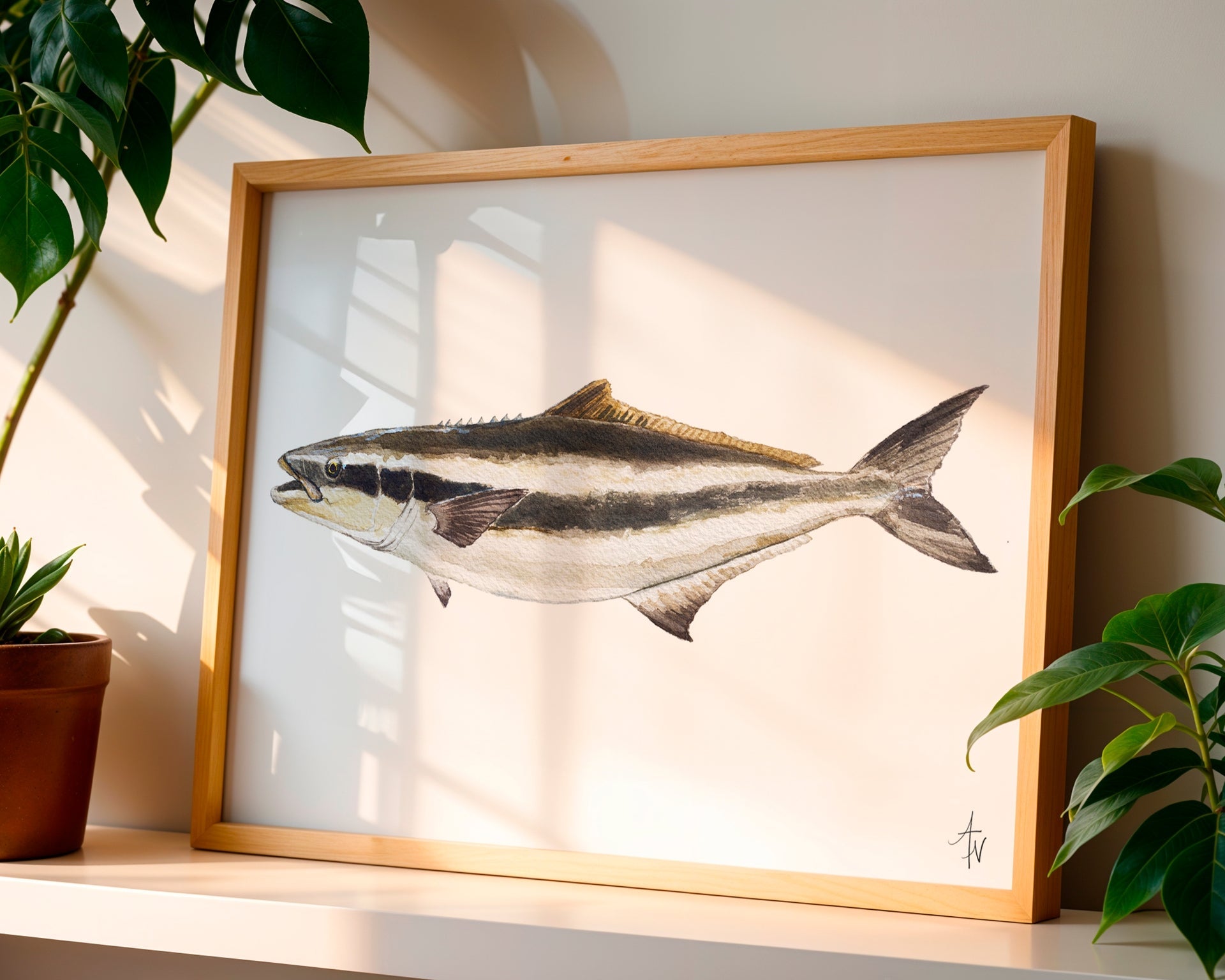 Cobia Fish Fine Art Print – Coastal Marine Wildlife - ArtByAlexandraNicole