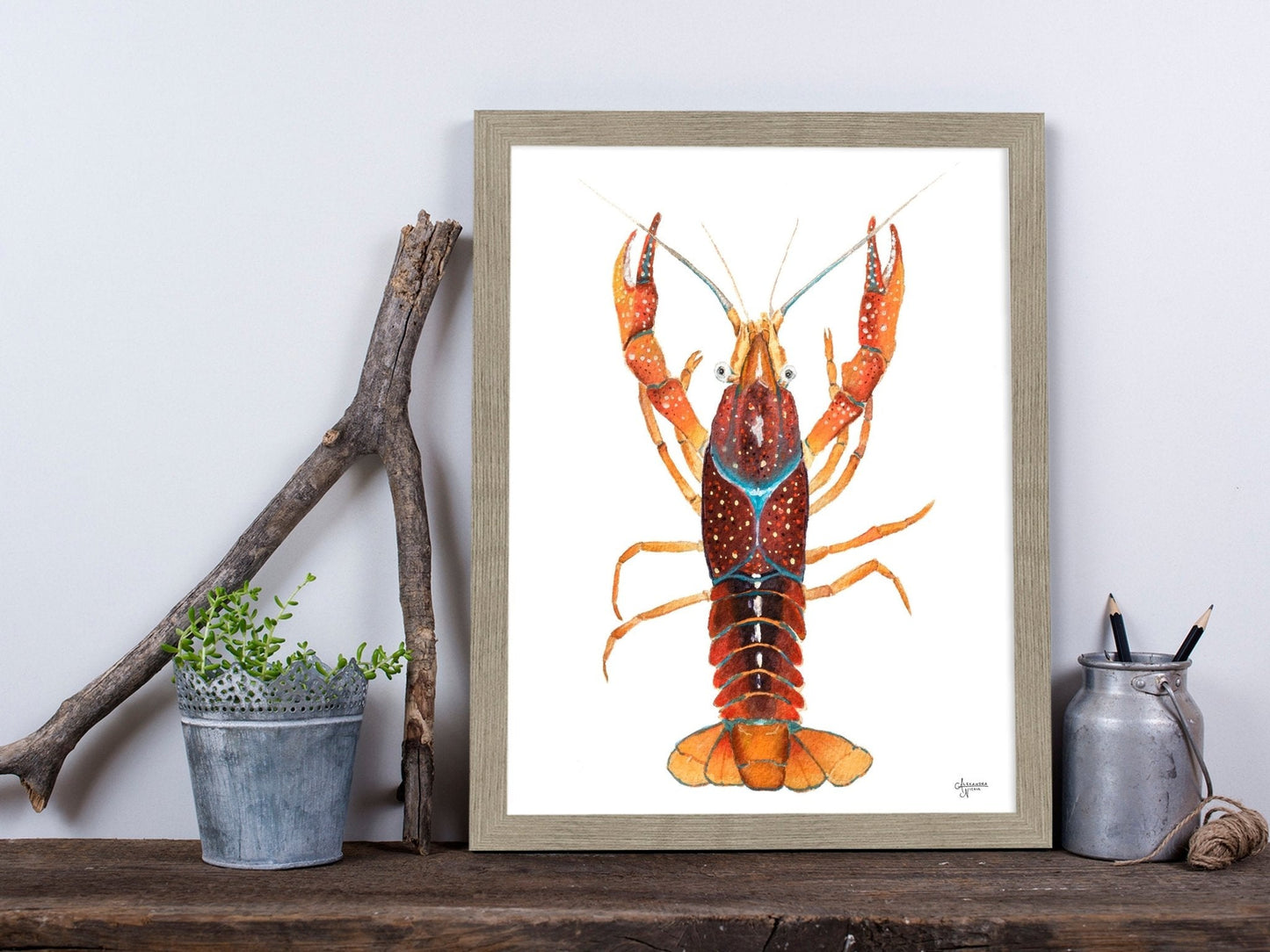 Crawfish Watercolor Print, Crawfish Art, Crawfish Print - ArtByAlexandraNicole