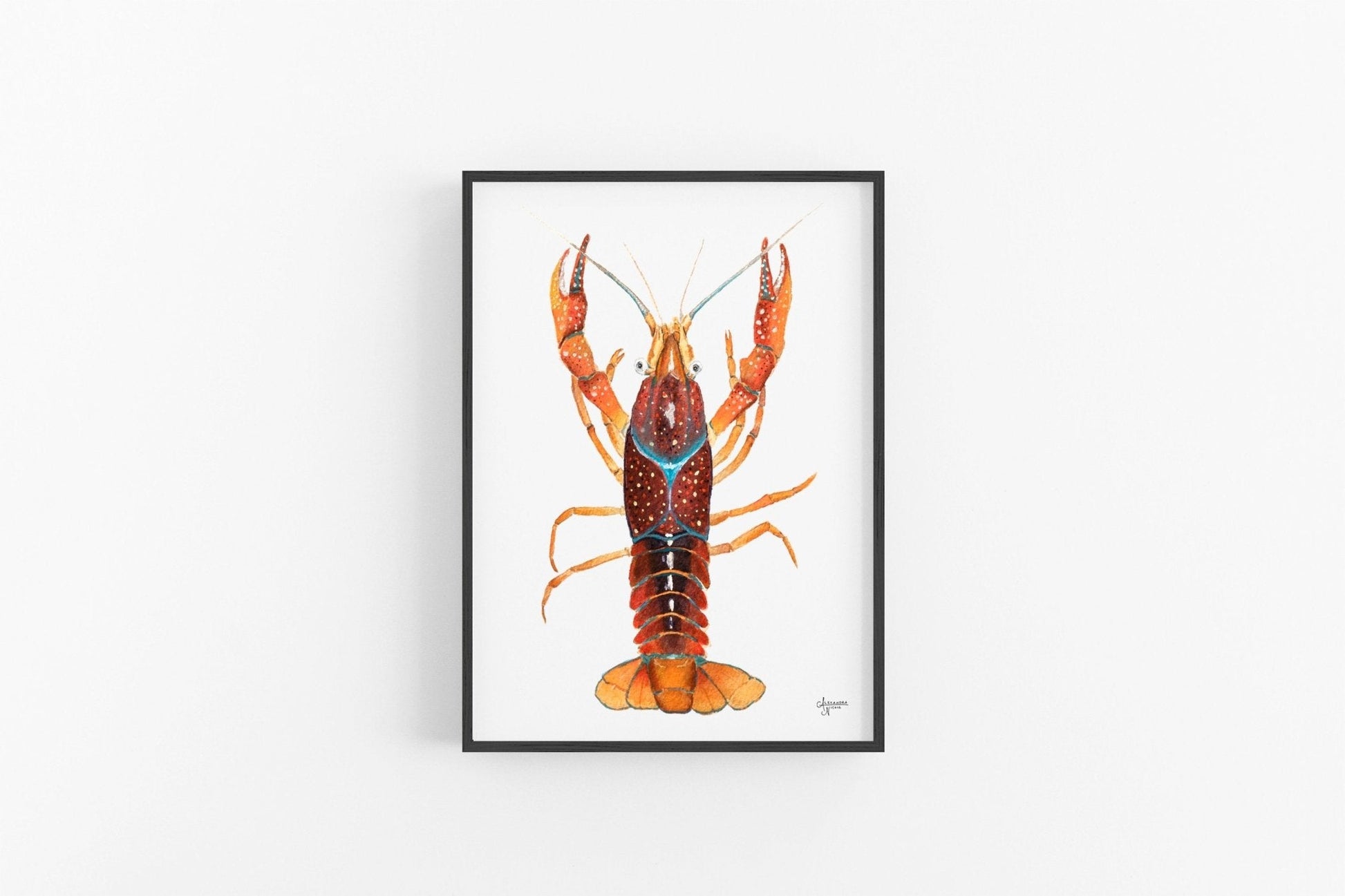 Crawfish Watercolor Print, Crawfish Art, Crawfish Print - ArtByAlexandraNicole