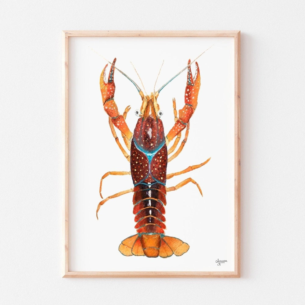 Crawfish Watercolor Print, Crawfish Art, Crawfish Print - ArtByAlexandraNicole