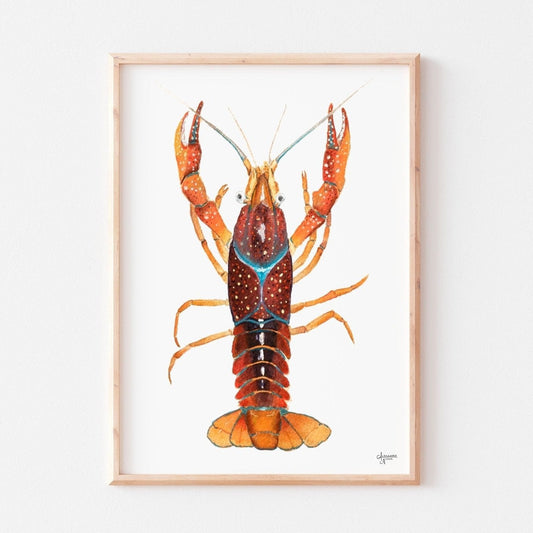 Crawfish Watercolor Print, Crawfish Art, Crawfish Print - ArtByAlexandraNicole