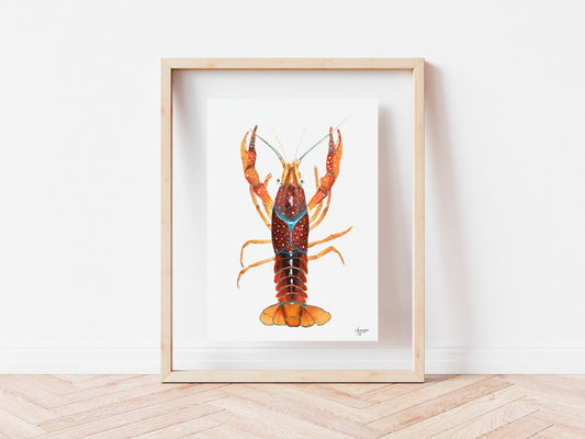Crawfish Watercolor Print, Crawfish Art, Crawfish Print - ArtByAlexandraNicole