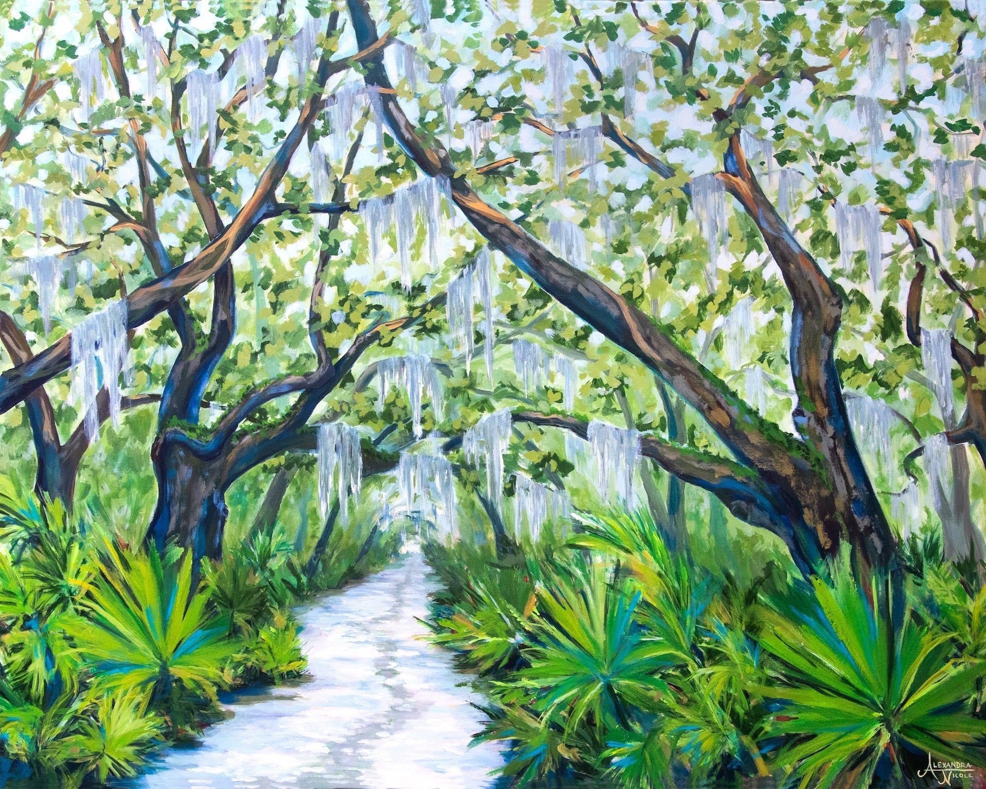 Cumberland Island Trail, Live Oak Tree Print - ArtByAlexandraNicole