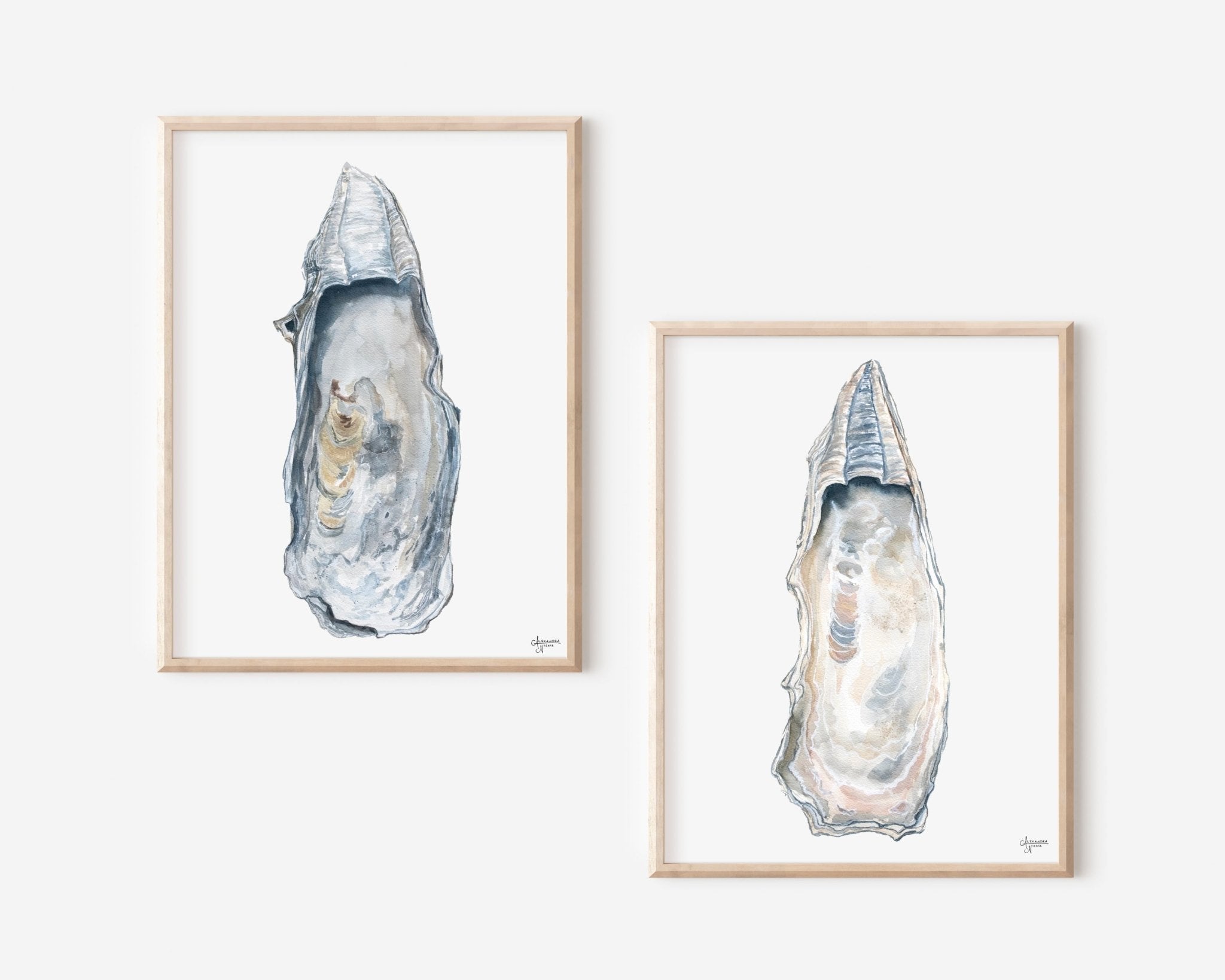 East Beach Oyster Shell Print Set - ArtByAlexandraNicole