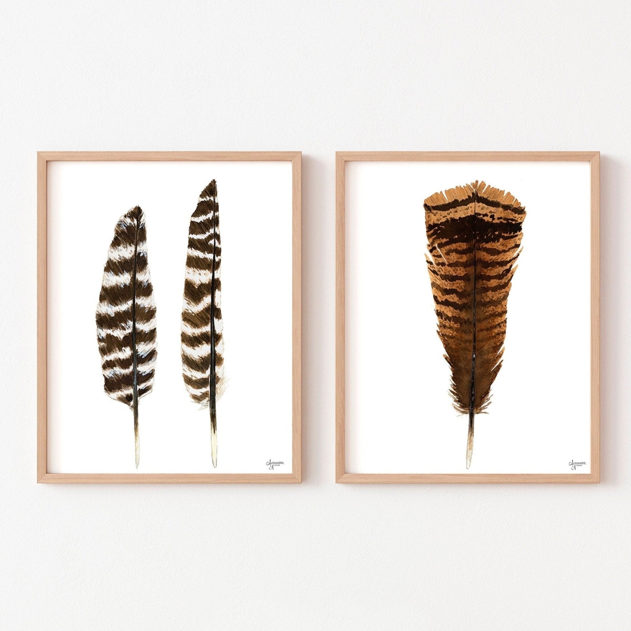 Eastern Wild Turkey, Print Set of 2 - ArtByAlexandraNicole