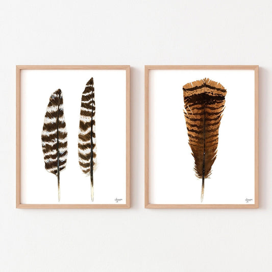 Eastern Wild Turkey, Print Set of 2 - ArtByAlexandraNicole