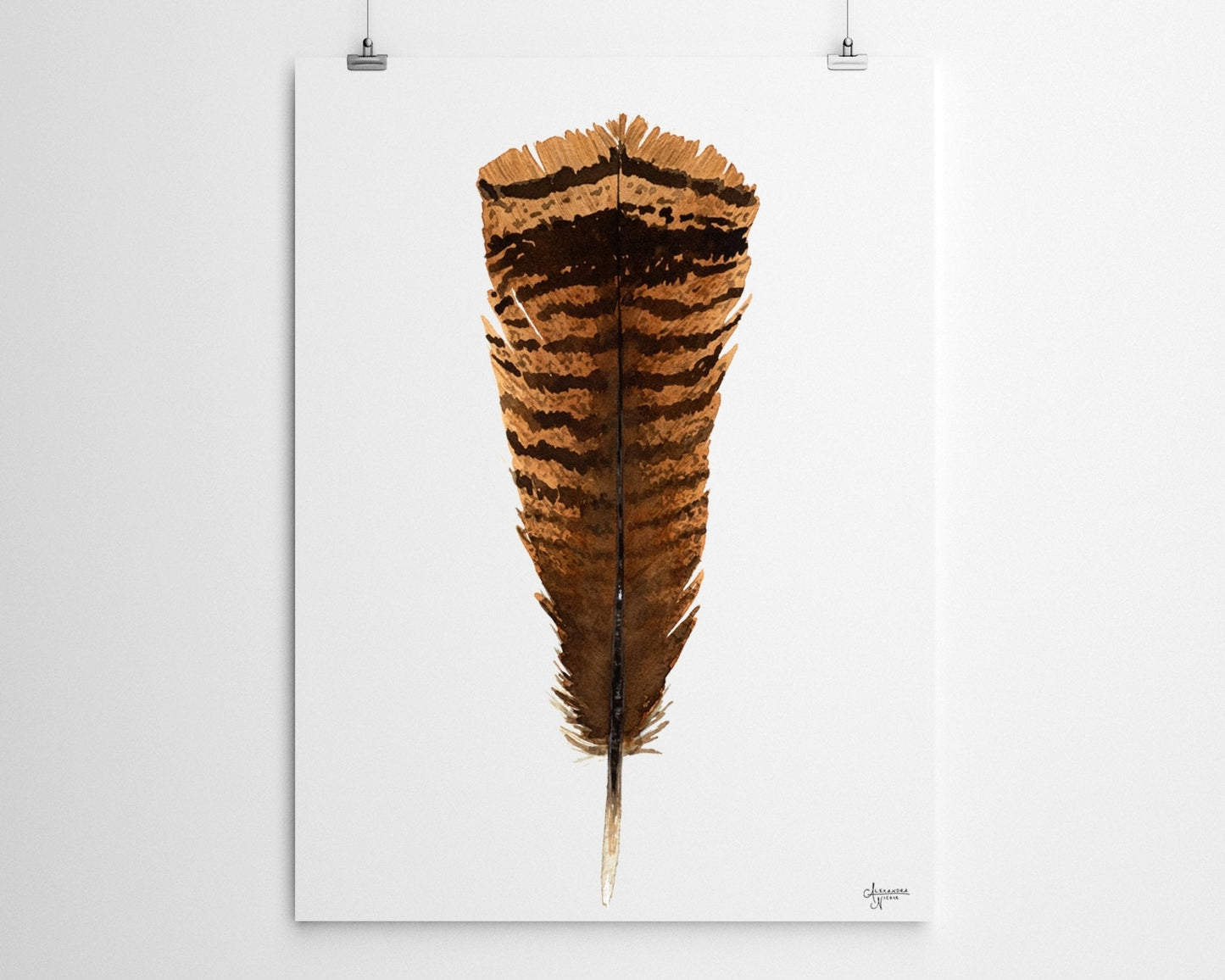 Eastern Wild Turkey Tail Feather Print - ArtByAlexandraNicole