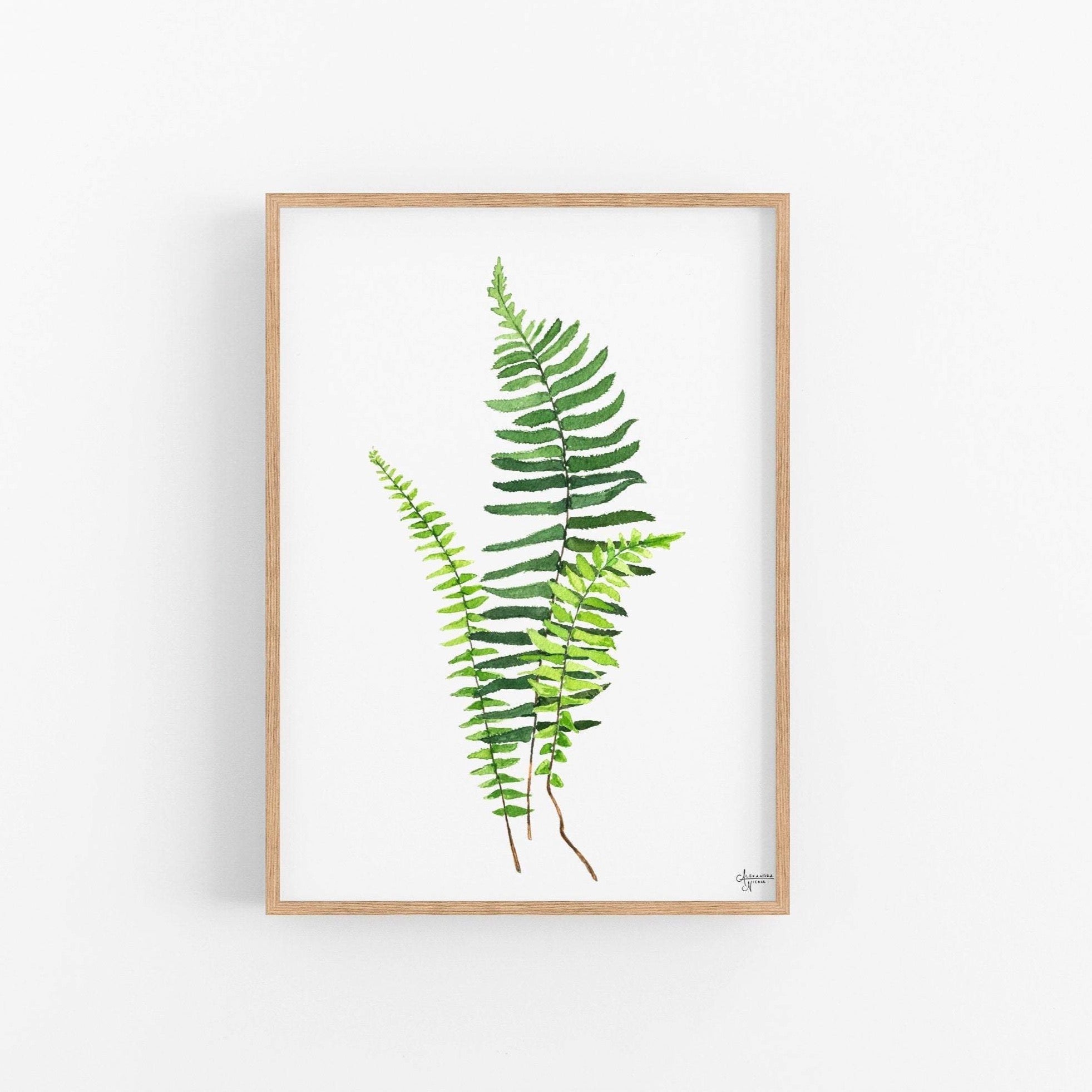 Ebony Spleenwort Fern Print - ArtByAlexandraNicole