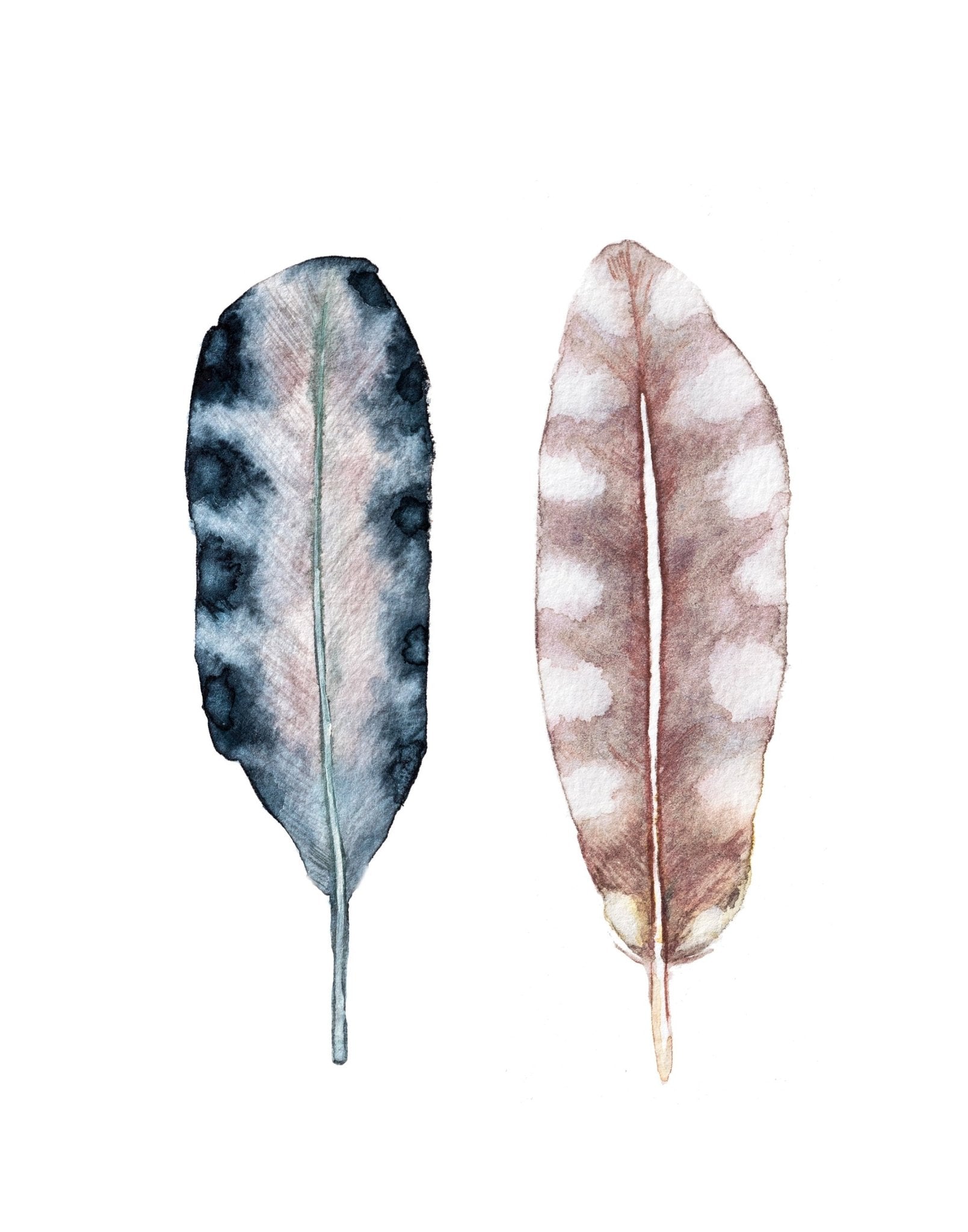 Feather Watercolor Print Set - ArtByAlexandraNicole