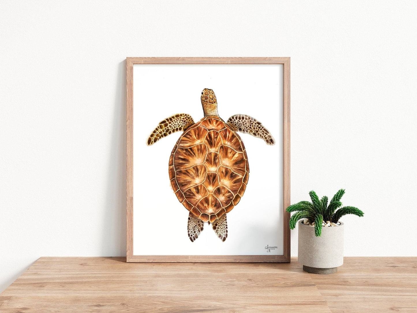 Green Sea Turtle Print - ArtByAlexandraNicole