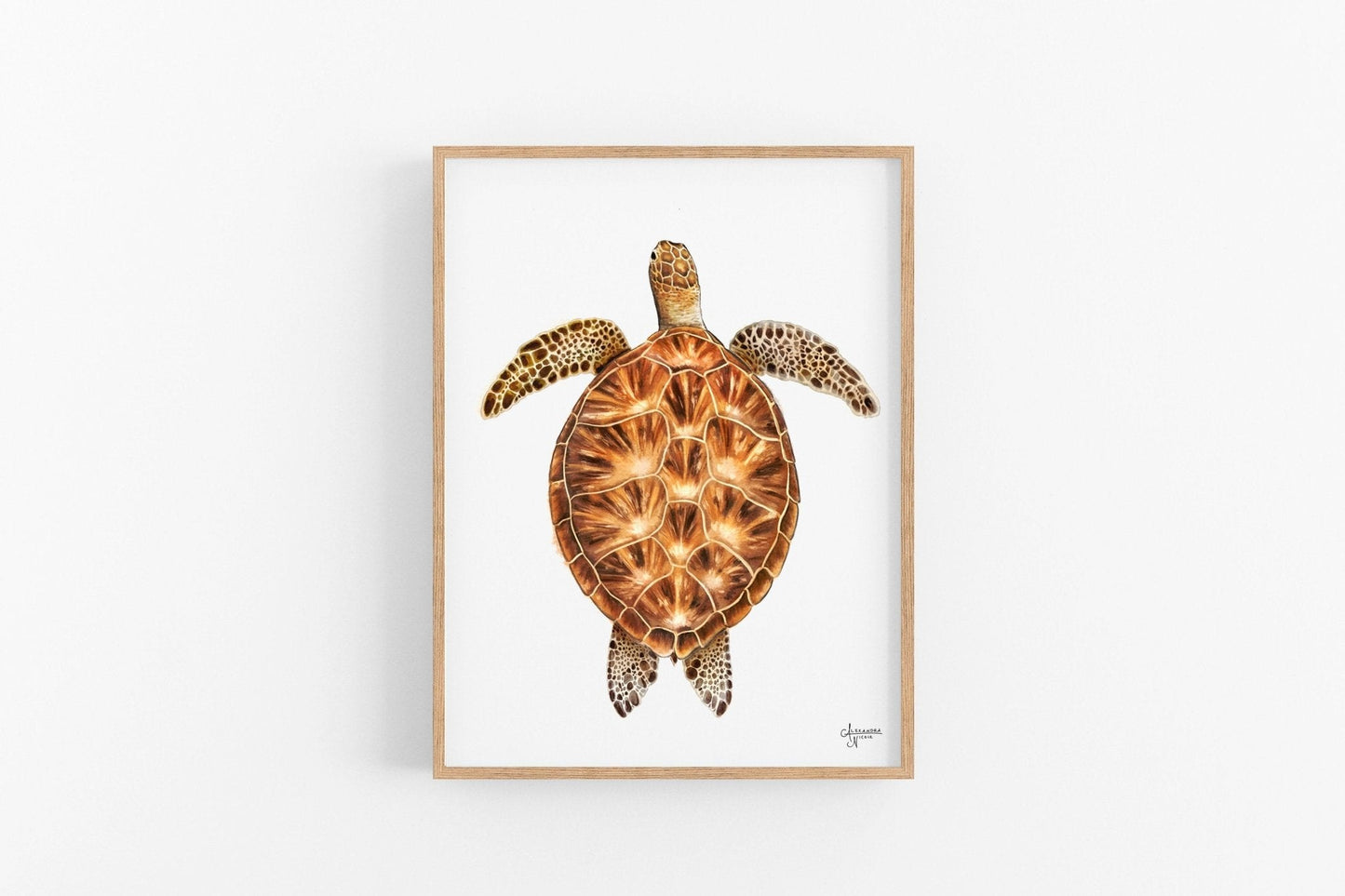 Green Sea Turtle Print - ArtByAlexandraNicole