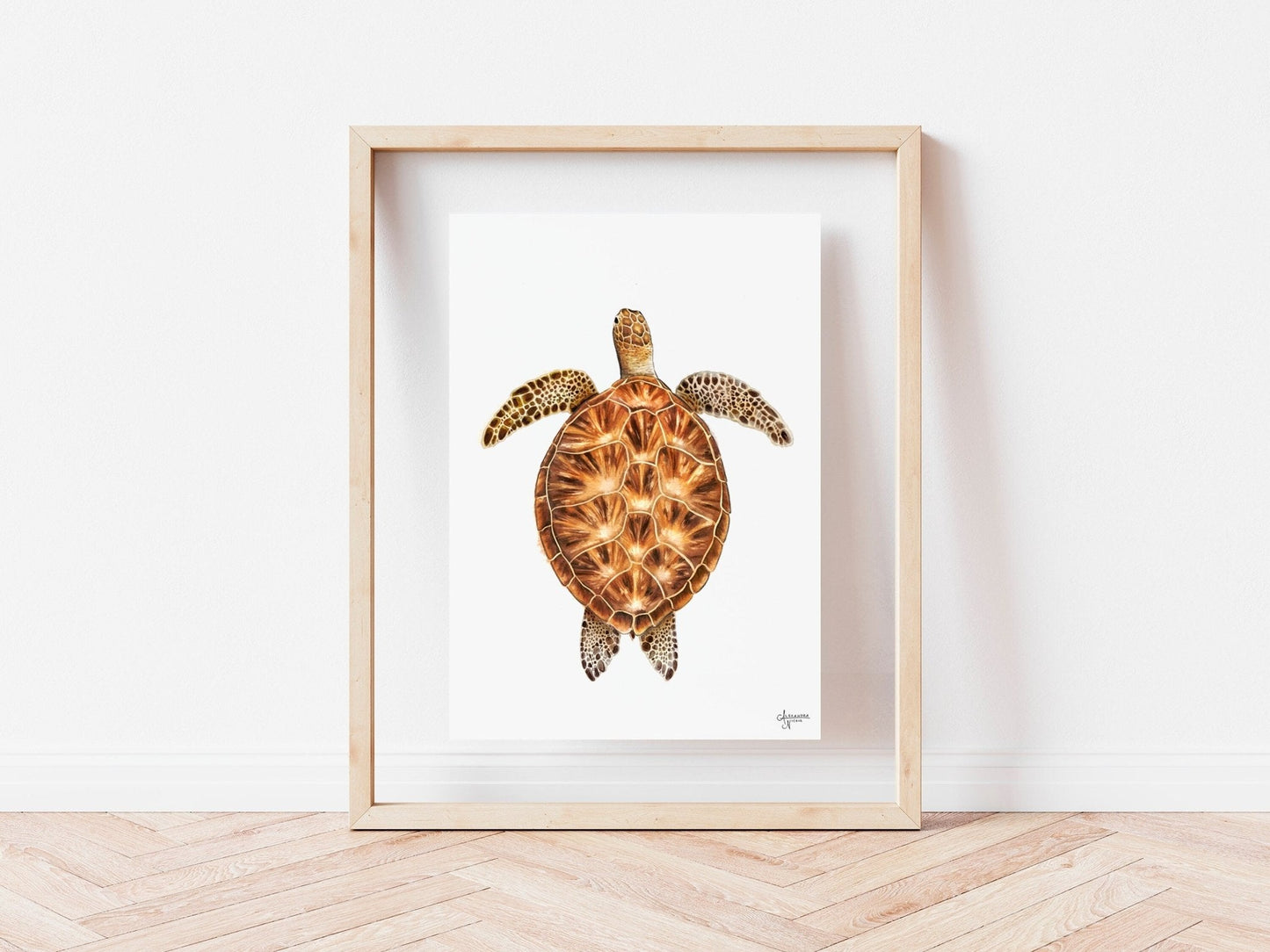 Green Sea Turtle Print - ArtByAlexandraNicole