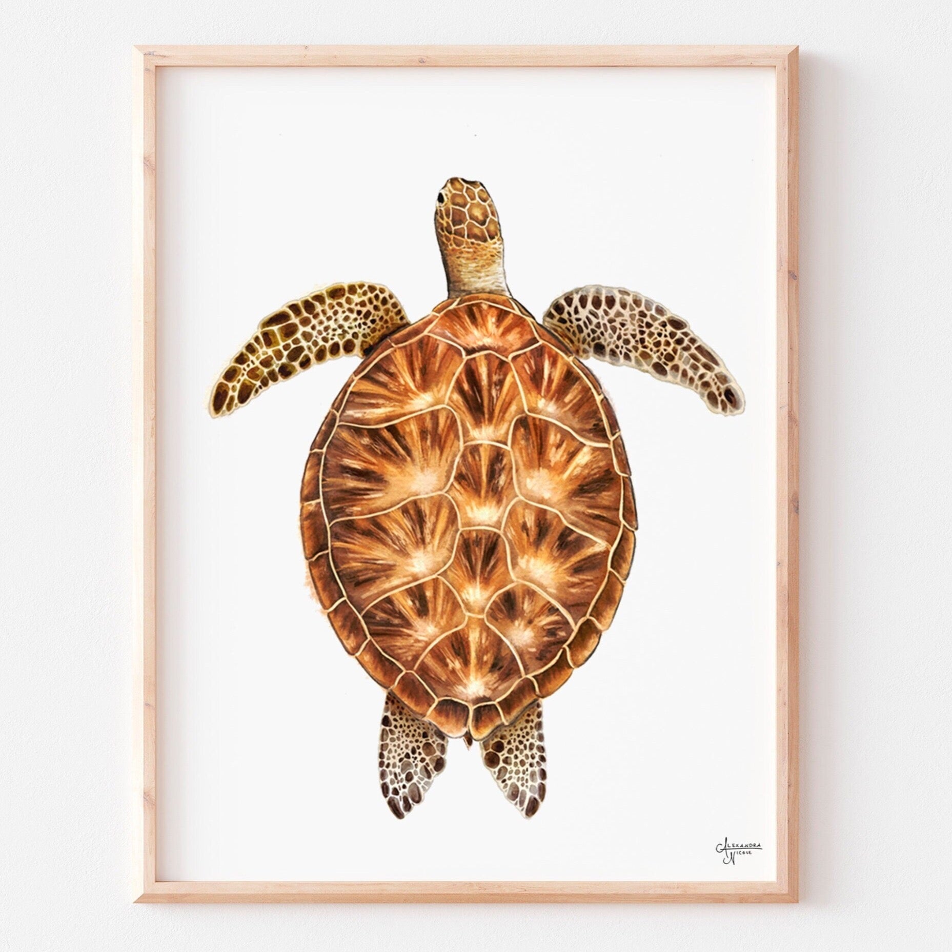 Green Sea Turtle Print - ArtByAlexandraNicole