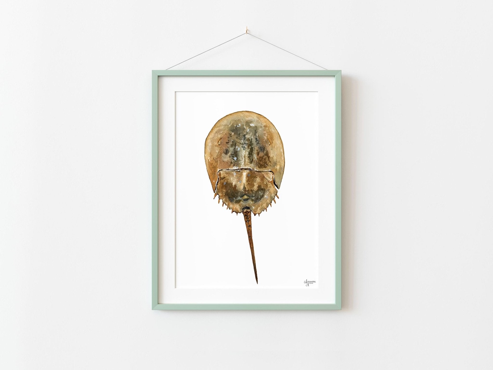 Horseshoe Crab Print Coastal Print - ArtByAlexandraNicole