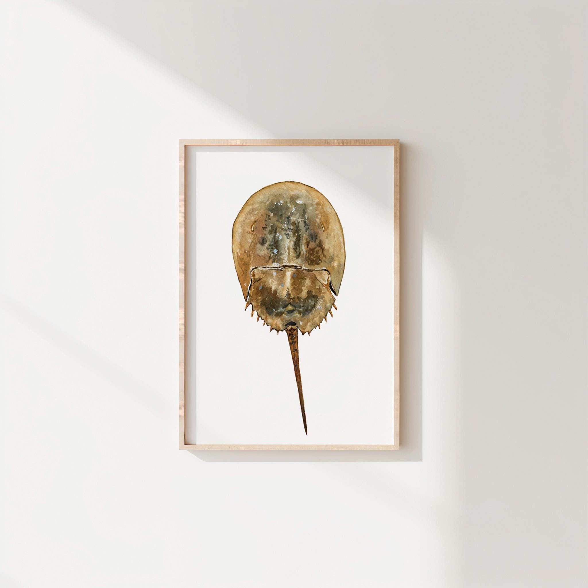 Horseshoe Crab Print Coastal Print - ArtByAlexandraNicole