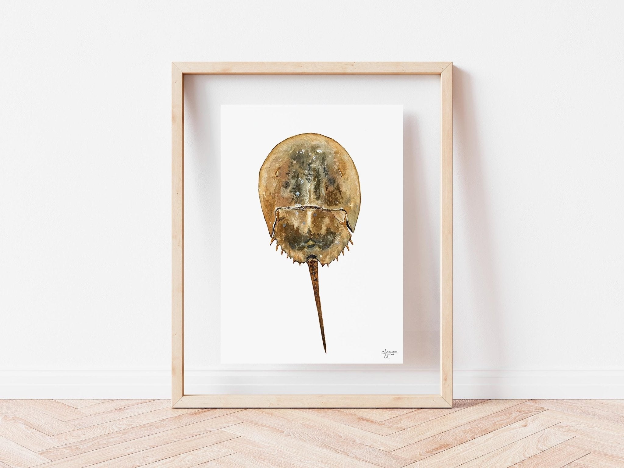 Horseshoe Crab Print Coastal Print - ArtByAlexandraNicole