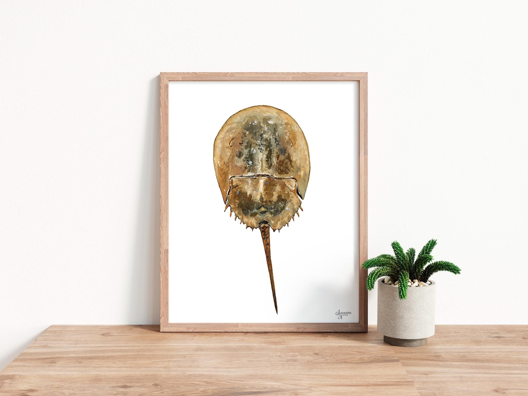 Horseshoe Crab Print Coastal Print - ArtByAlexandraNicole