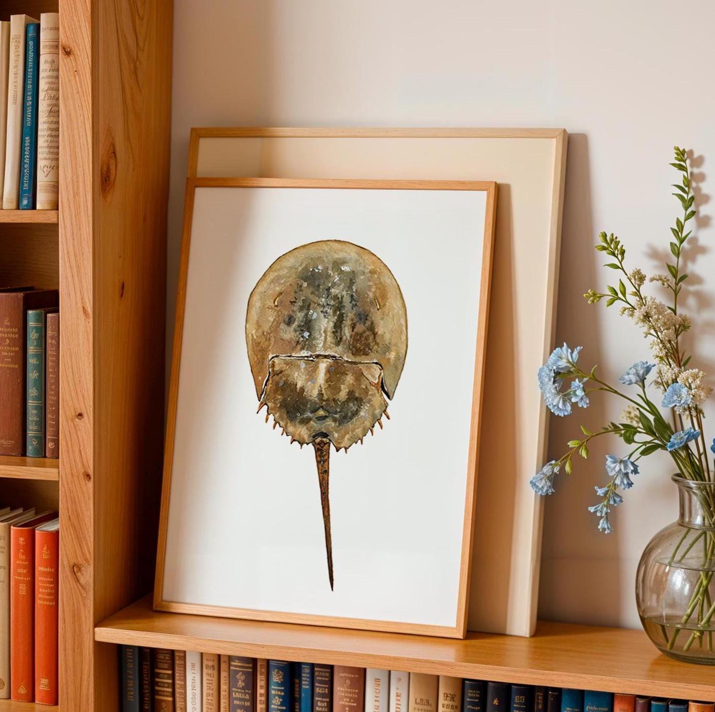 Horseshoe Crab Print Coastal Print - ArtByAlexandraNicole