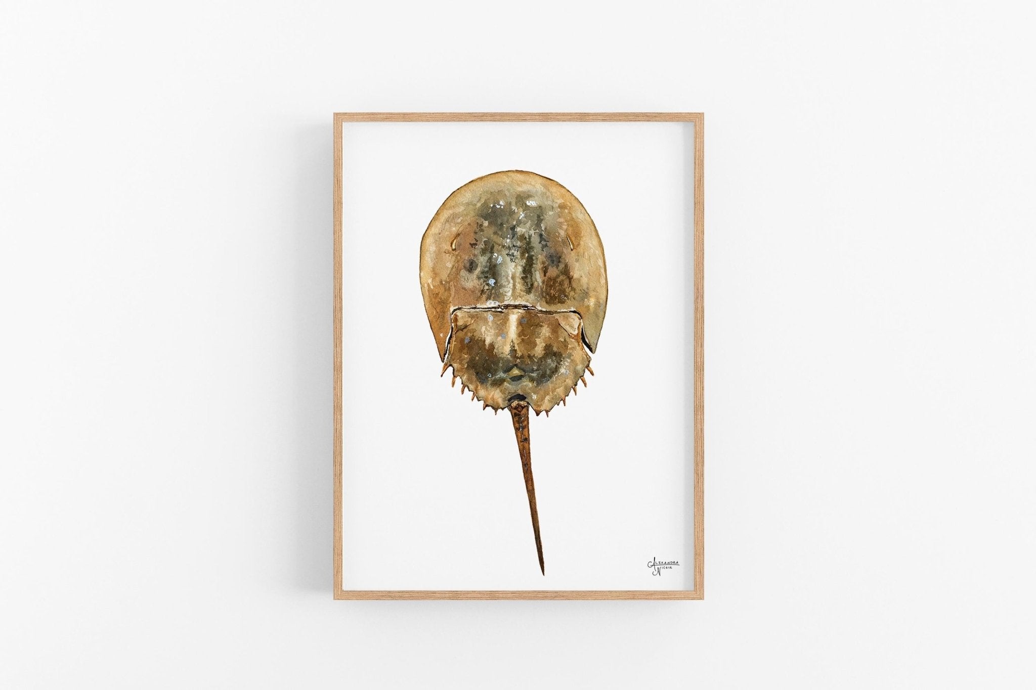 Horseshoe Crab Print Coastal Print - ArtByAlexandraNicole