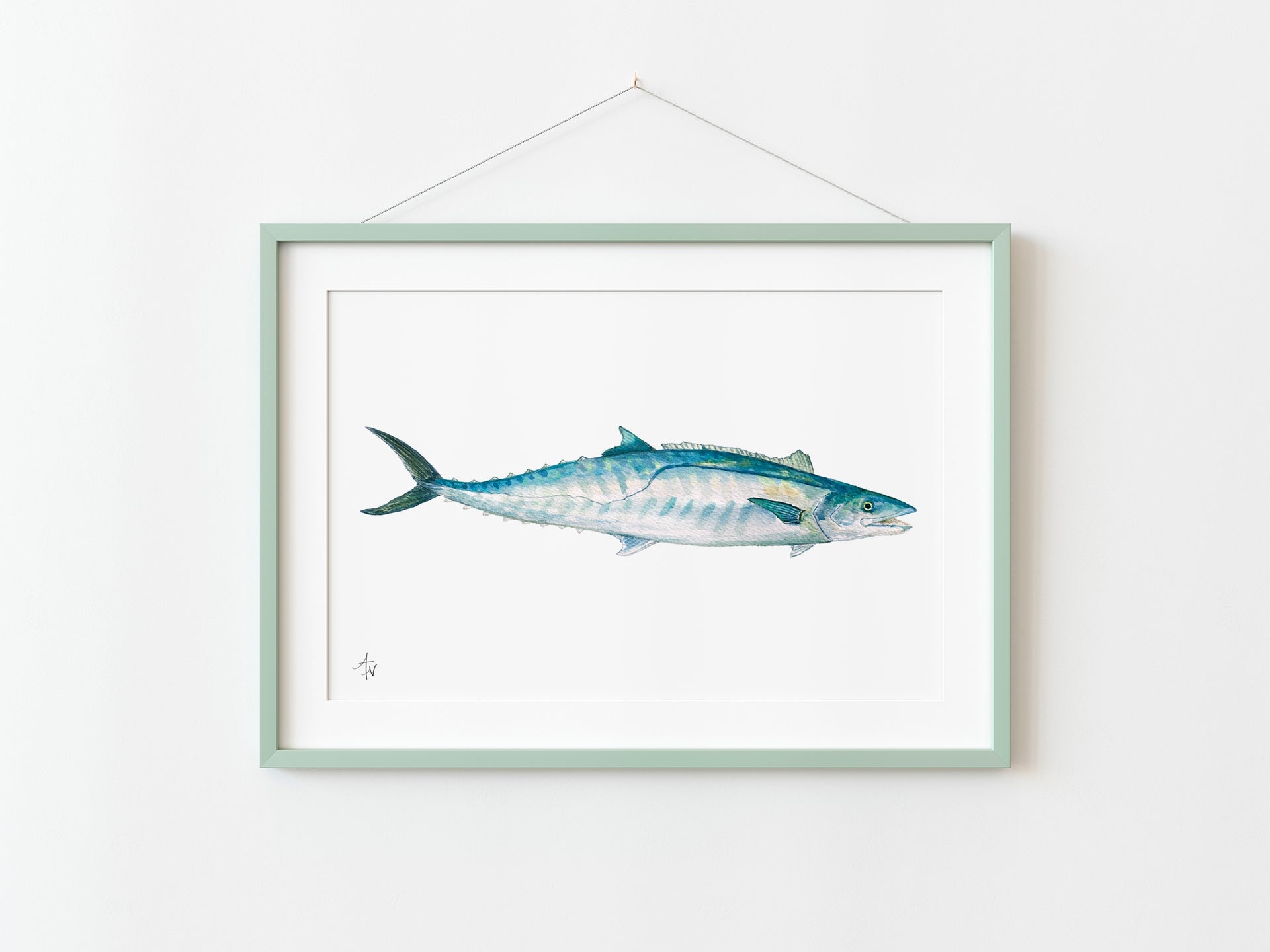 Kingfish (King Mackerel) Fine Art Print – Saltwater Sport Fish Illustration - ArtByAlexandraNicole