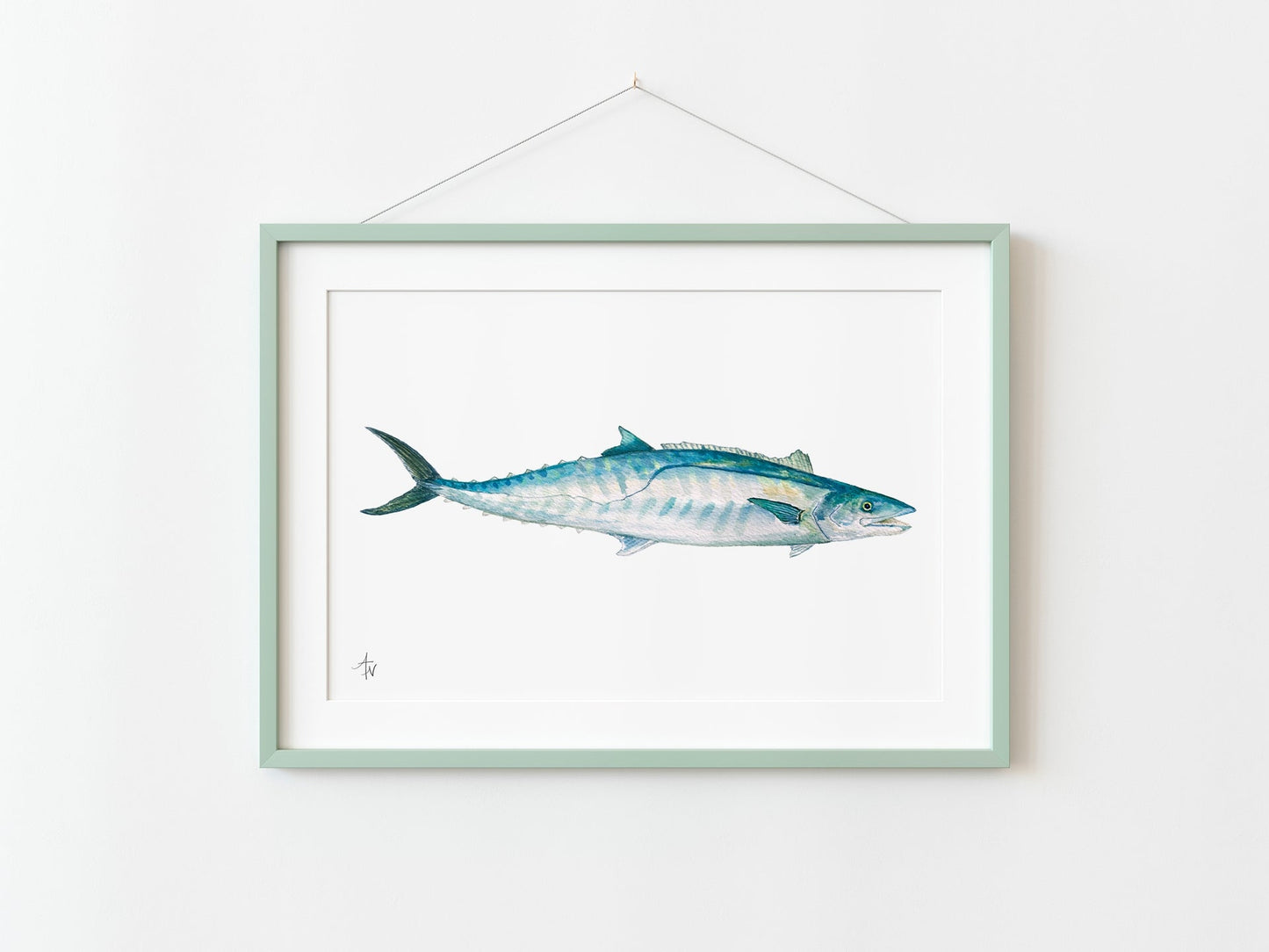 Kingfish (King Mackerel) Fine Art Print – Saltwater Sport Fish Illustration - ArtByAlexandraNicole