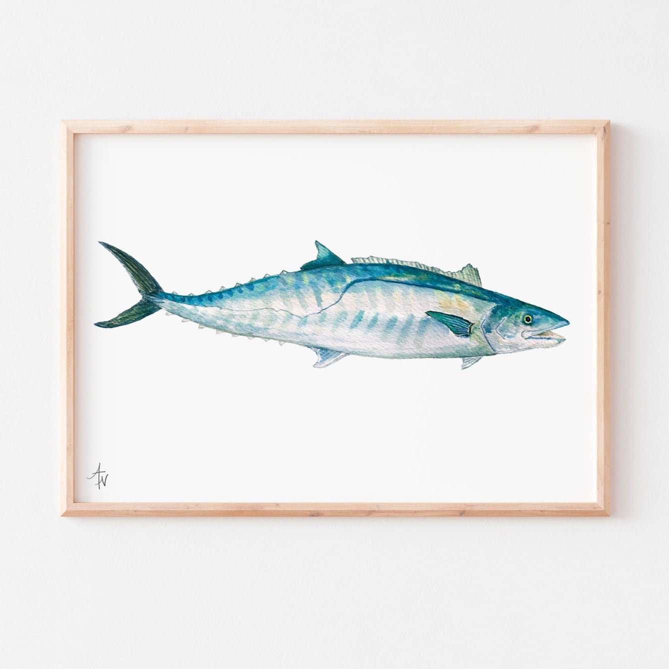 Kingfish (King Mackerel) Fine Art Print – Saltwater Sport Fish Illustration - ArtByAlexandraNicole