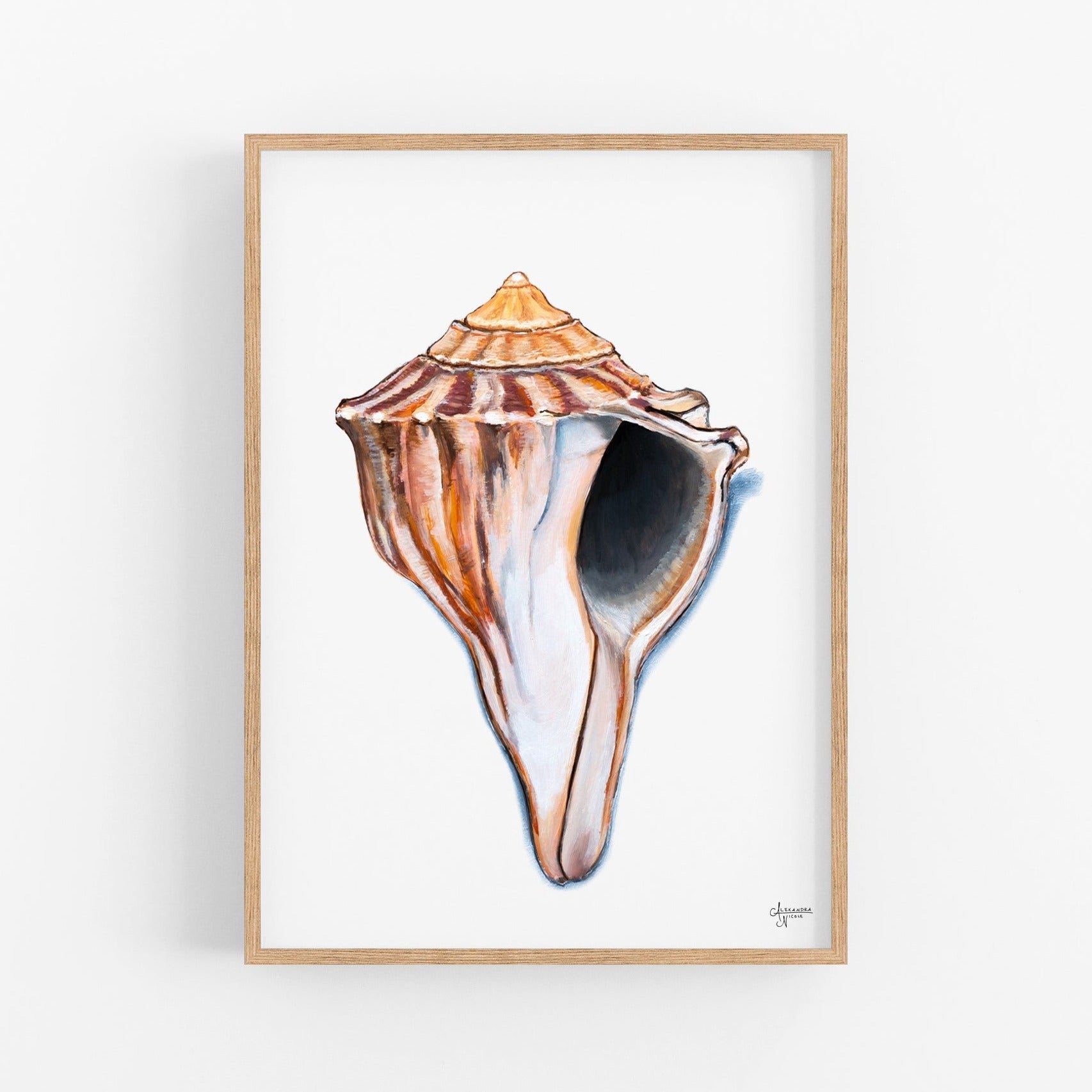 Shell Print Artist Knobbed Whelk Painting, Seashell Wall Art, Watercolor Shell Print by ...