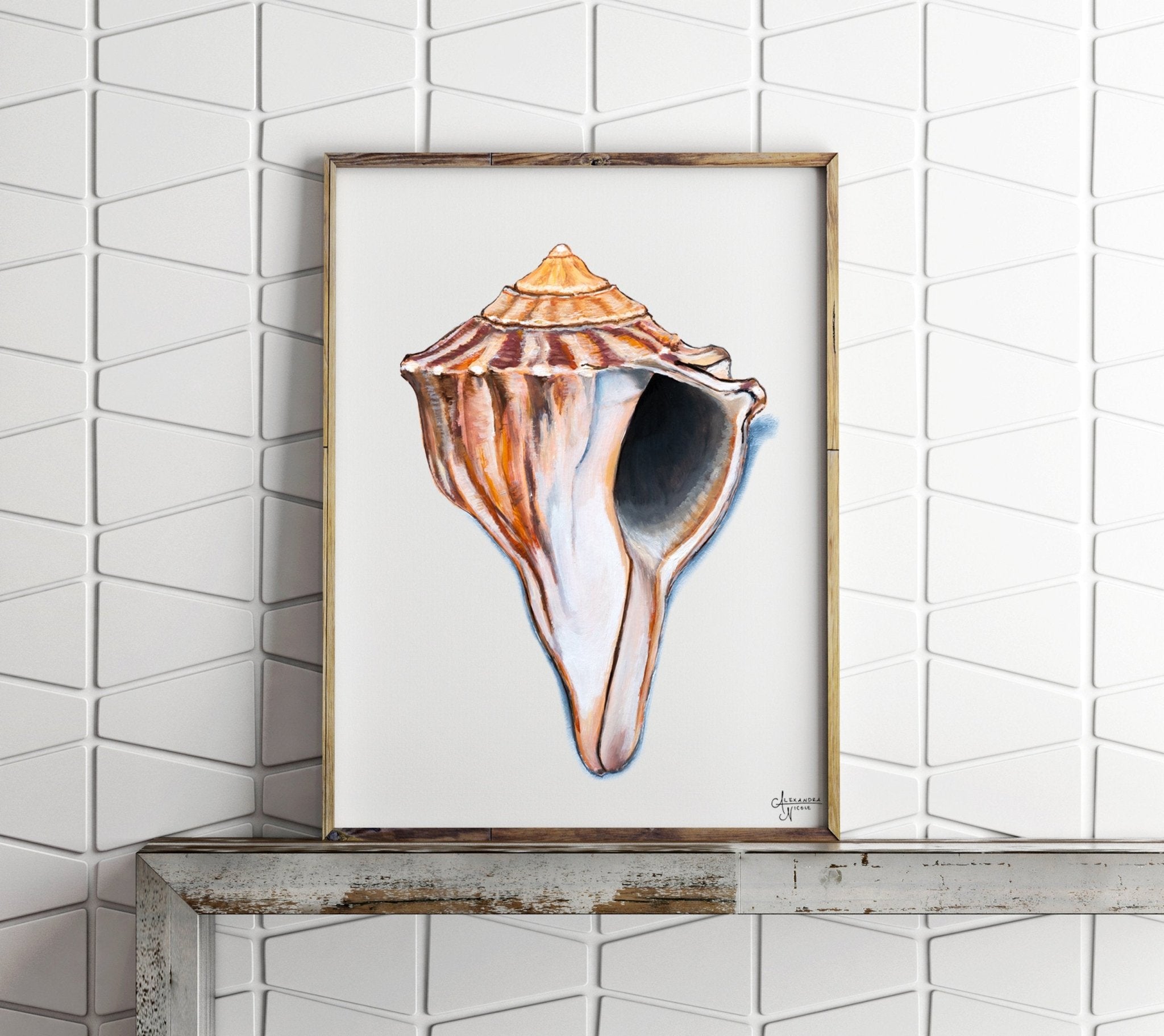 Knobbed Whelk Fine Art Print, Sea Shell Art - ArtByAlexandraNicole