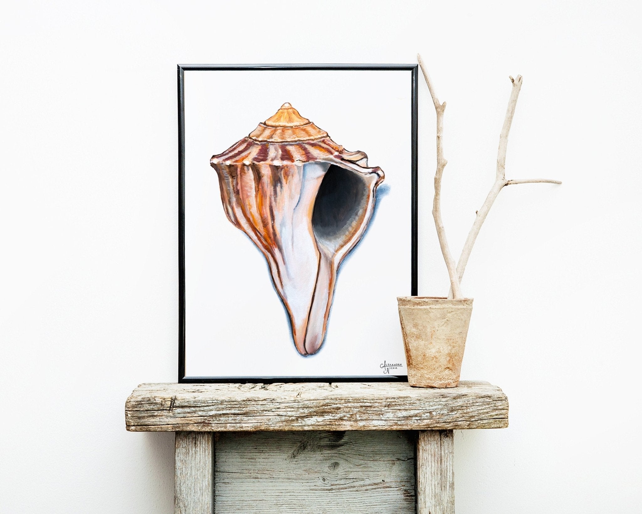 Knobbed Whelk Fine Art Print, Sea Shell Art - ArtByAlexandraNicole