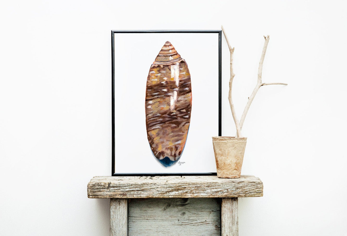 Lettered Olive Print, Olive Print, Shell Print, Sea Shell Art - ArtByAlexandraNicole
